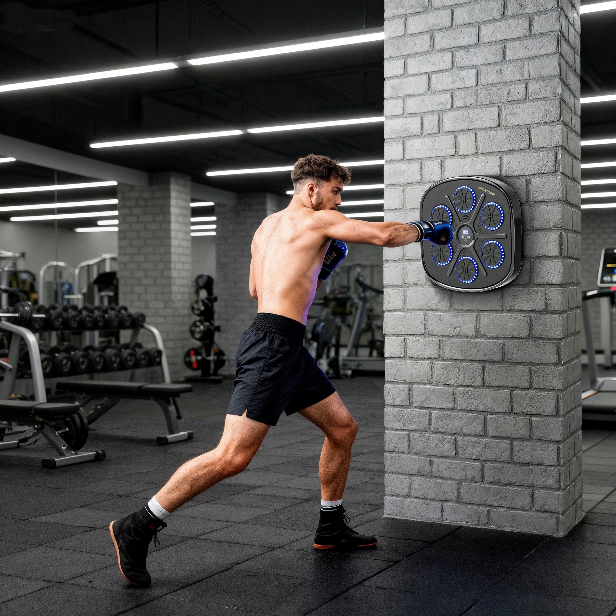 Music Boxing Machine, Smart Bluetooth Boxing Machine Wall Mounted with 9 Speeds & Modes, LED Lights and Gloves, Punching Pad for Adults, Black