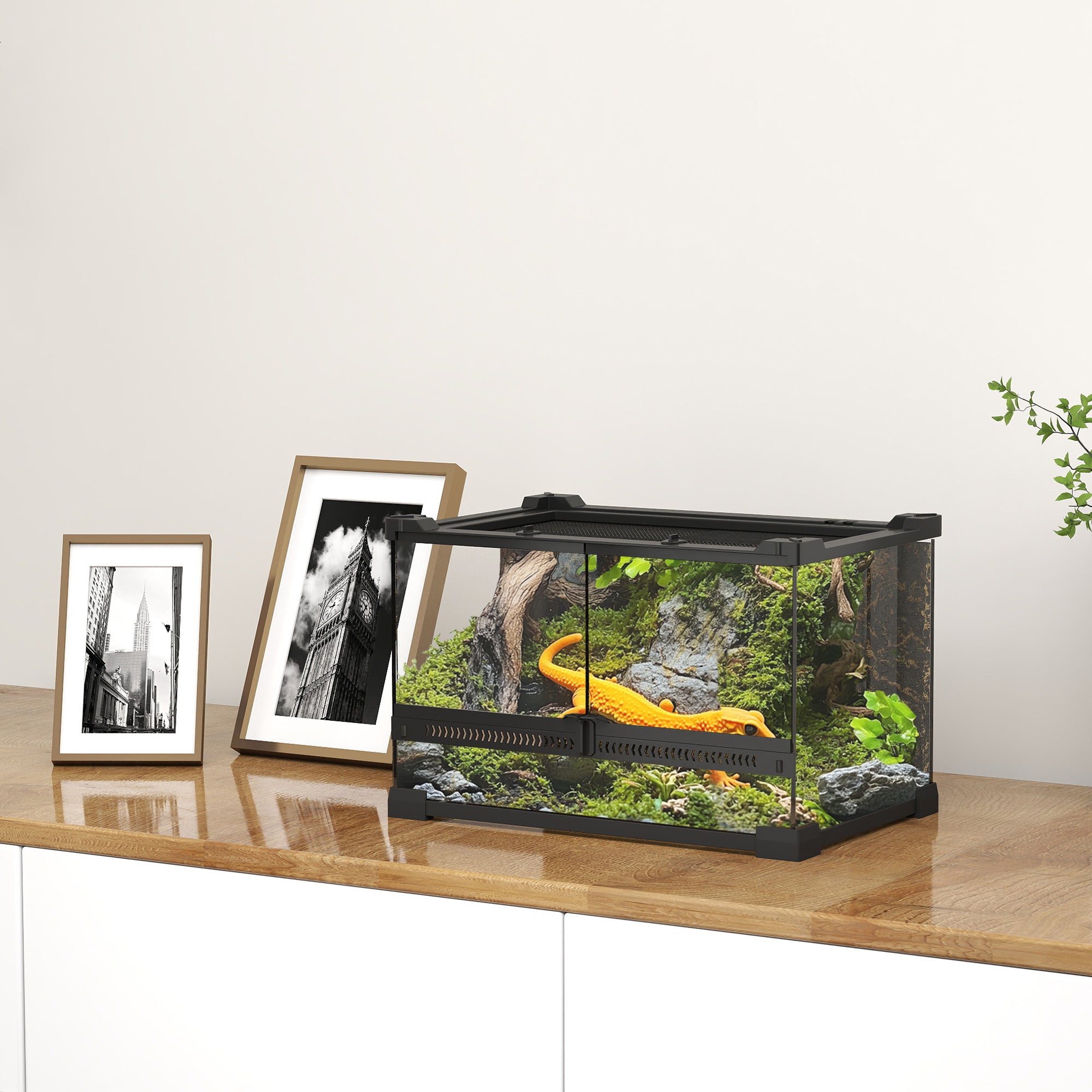 Reptile Glass Terrarium with Stone Background, Front Ventilation, Escape-Proof Knob Lock, 30 x 20 x 20 cm, Black