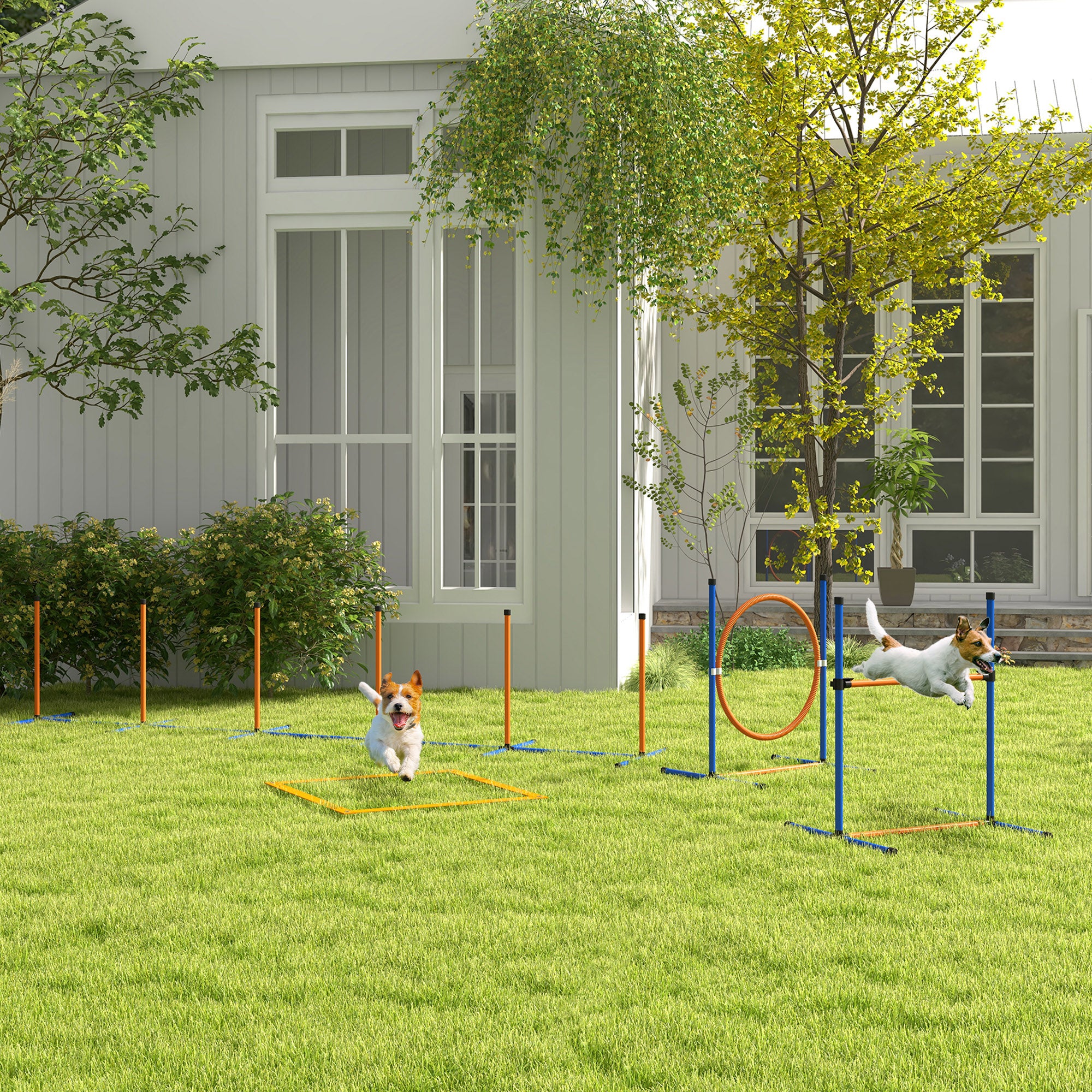 Dog Agility Training Equipment Set with Weave Poles, Jump Ring, Pause Box & Adjustable Hurdle - Orange