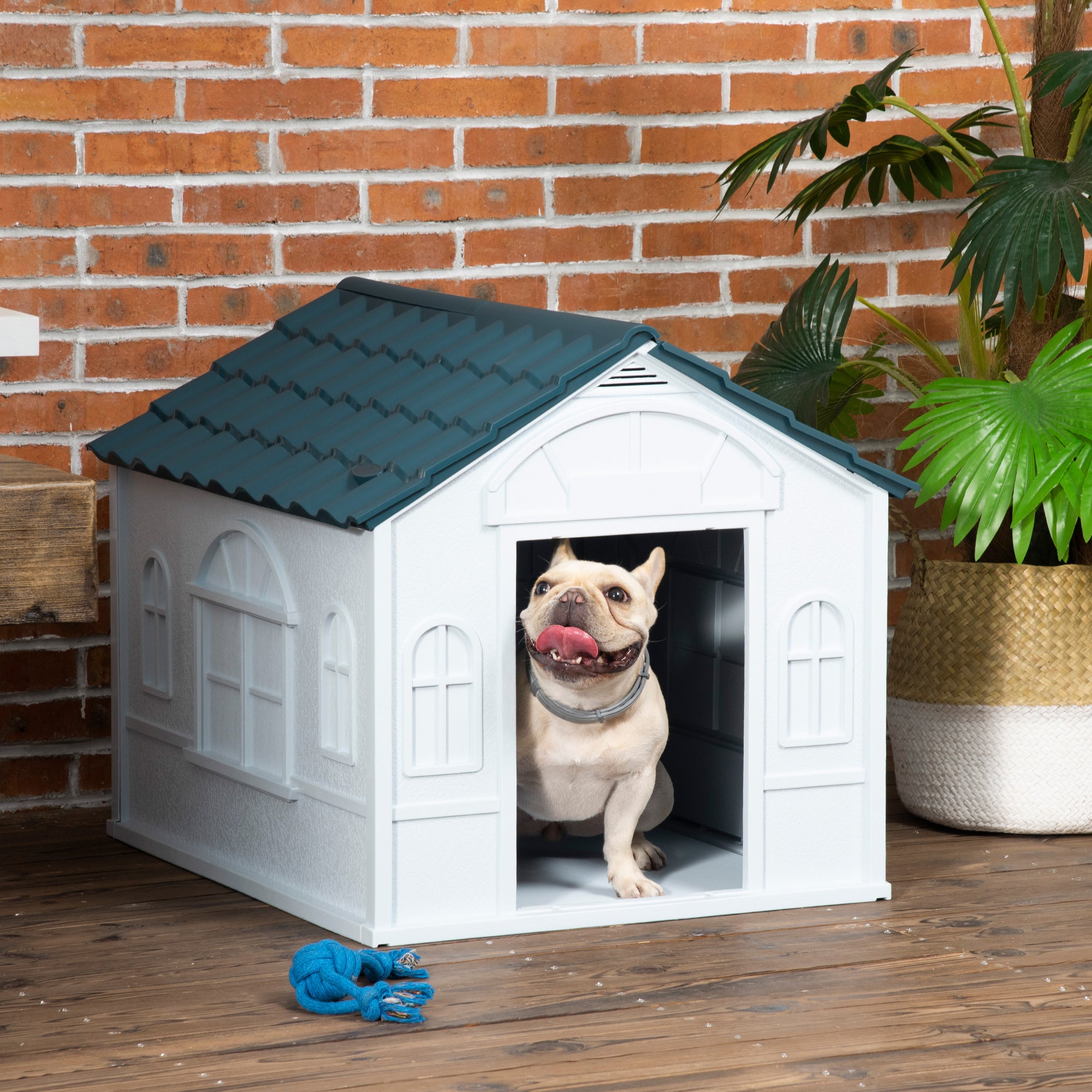 Weatherproof Plastic Dog House for Medium Dogs - Blue