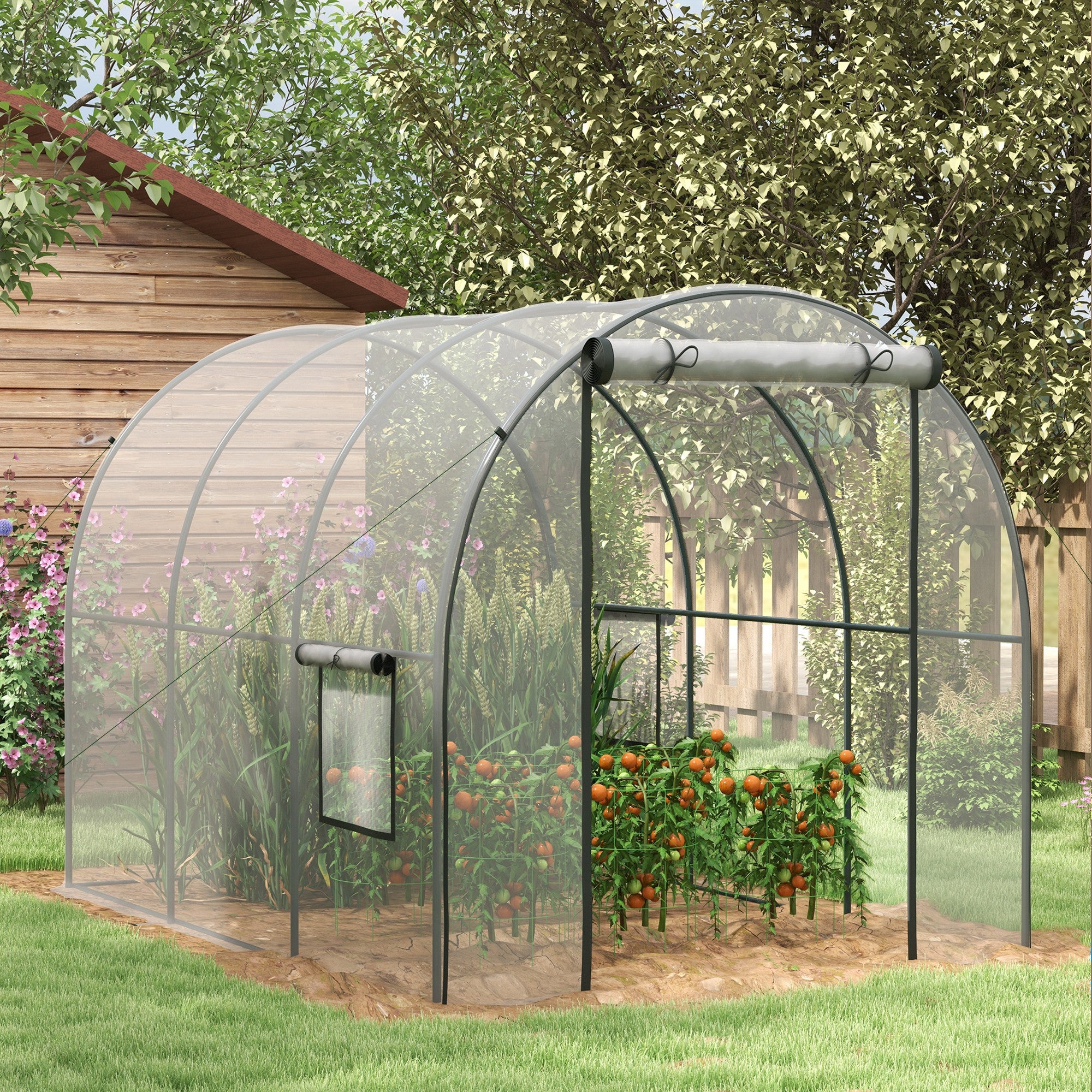 3 x 2 Metre Walk-In Polytunnel Greenhouse with Steel Frame - Clear