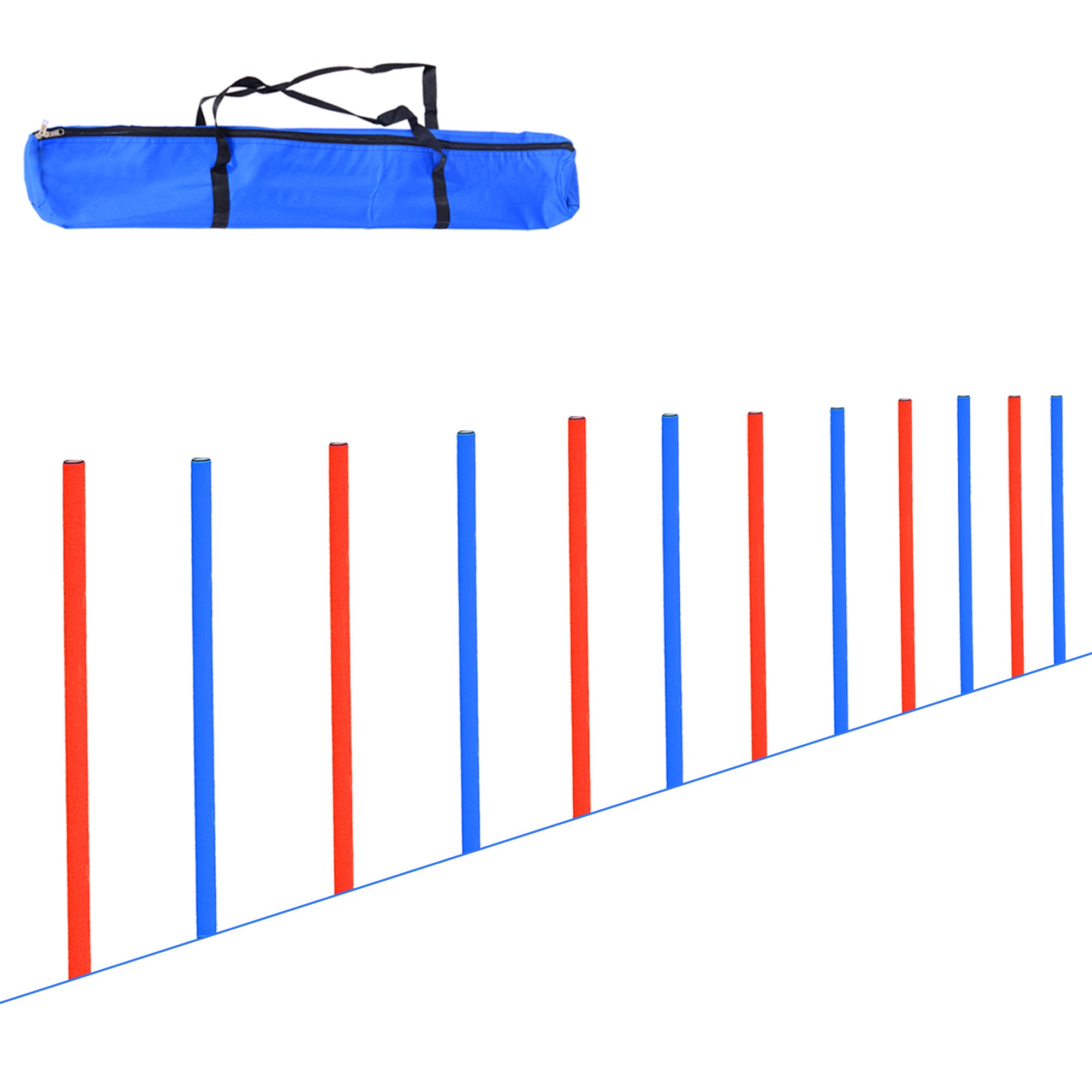 Pet Agility Training Run and Jump Set - Blue & Red