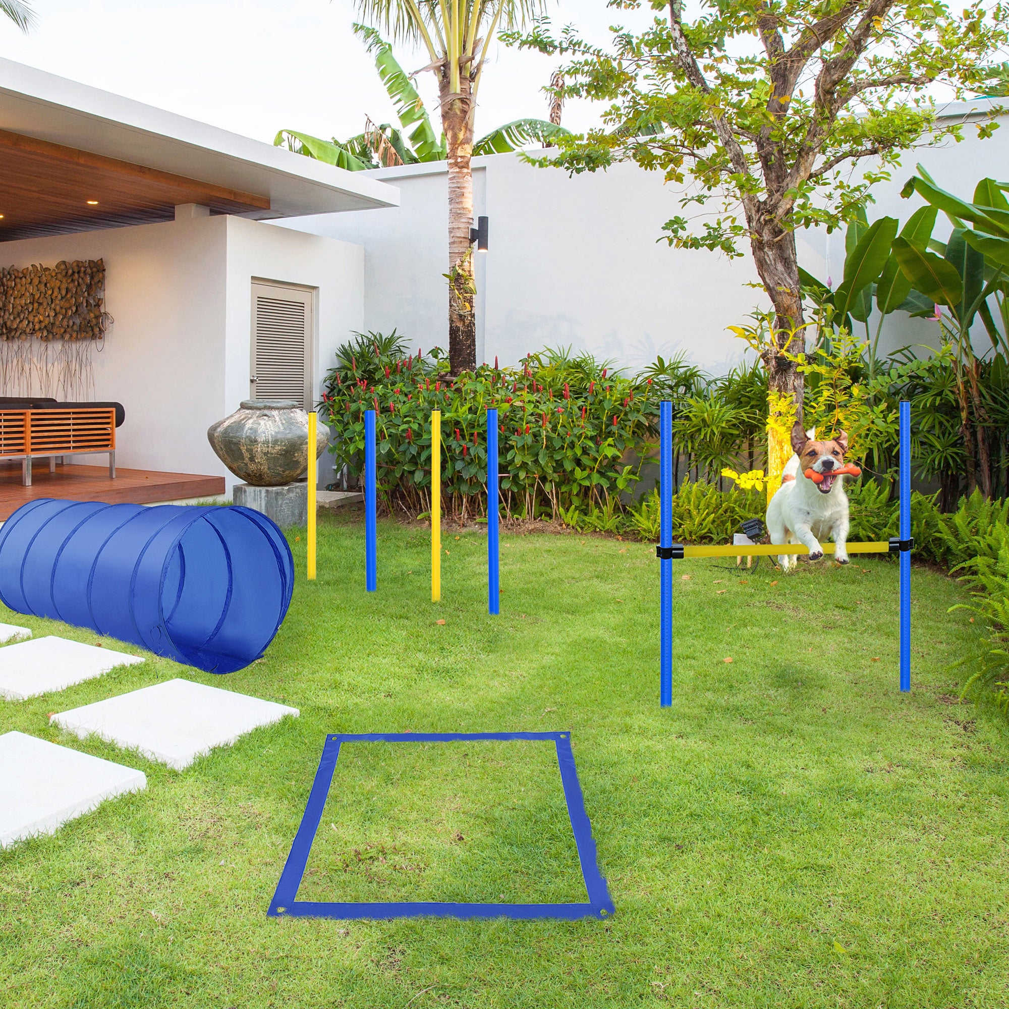 Adjustable Pet Agility Training Set with Tunnel and Poles - Blue/Yellow