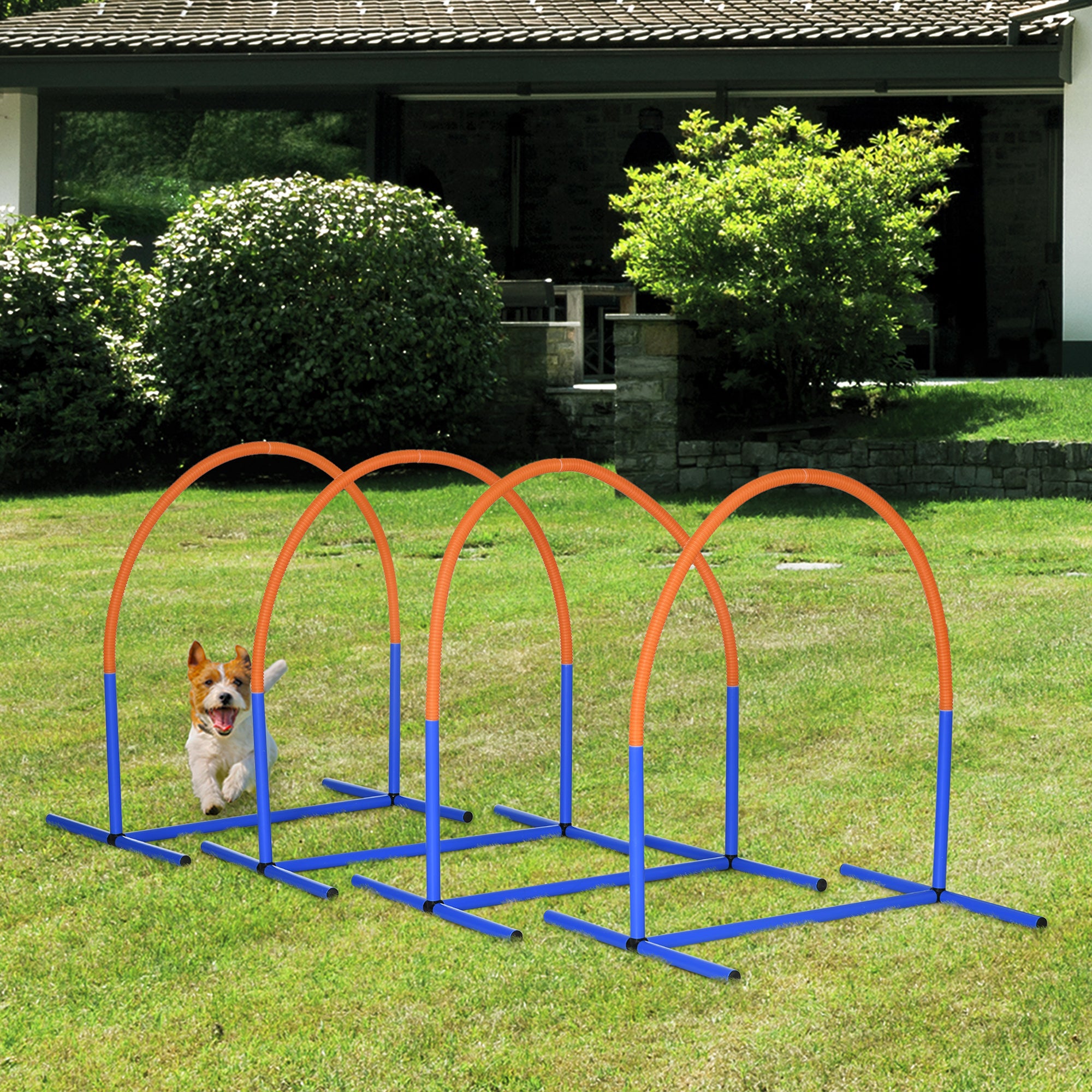 4PC Portable Dog Agility Equipment Set - Blue