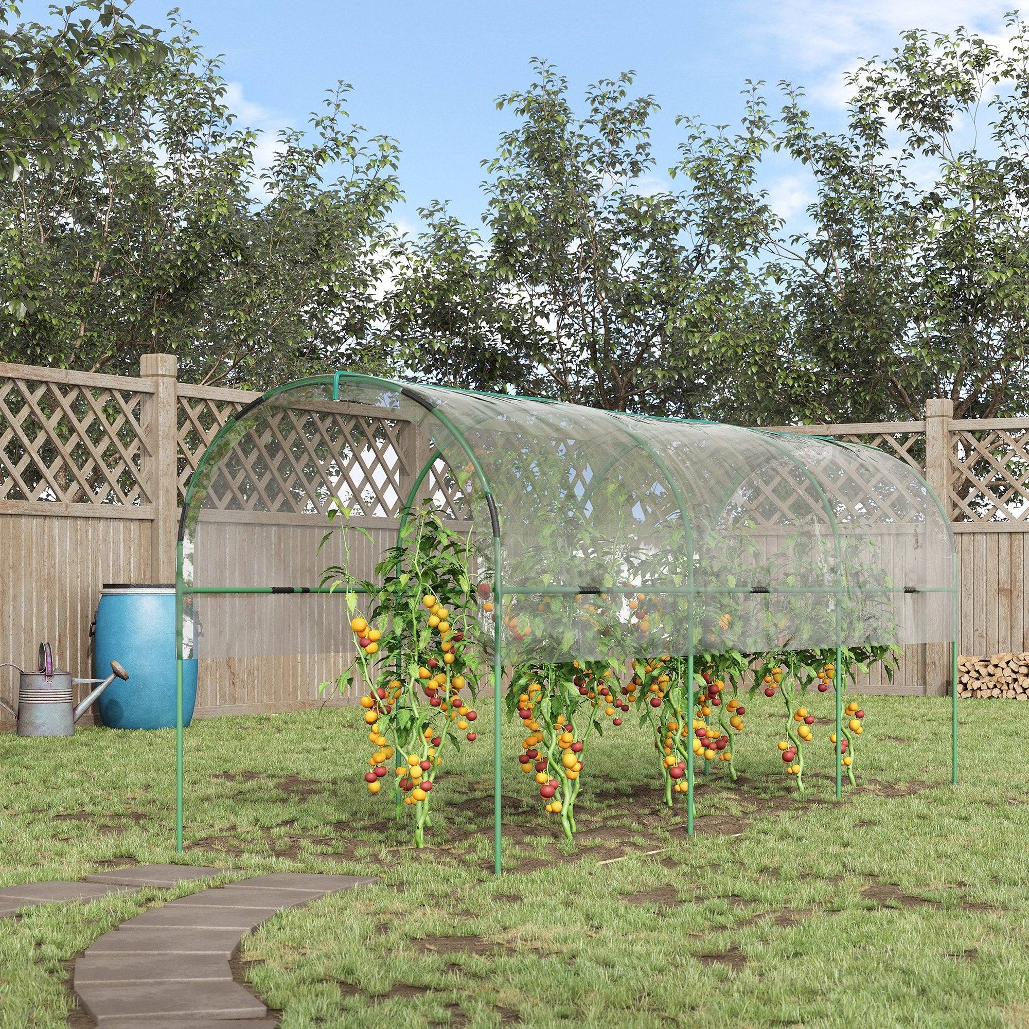 Tunnel Tomato Greenhouse with Steel Frame and Clear Cover