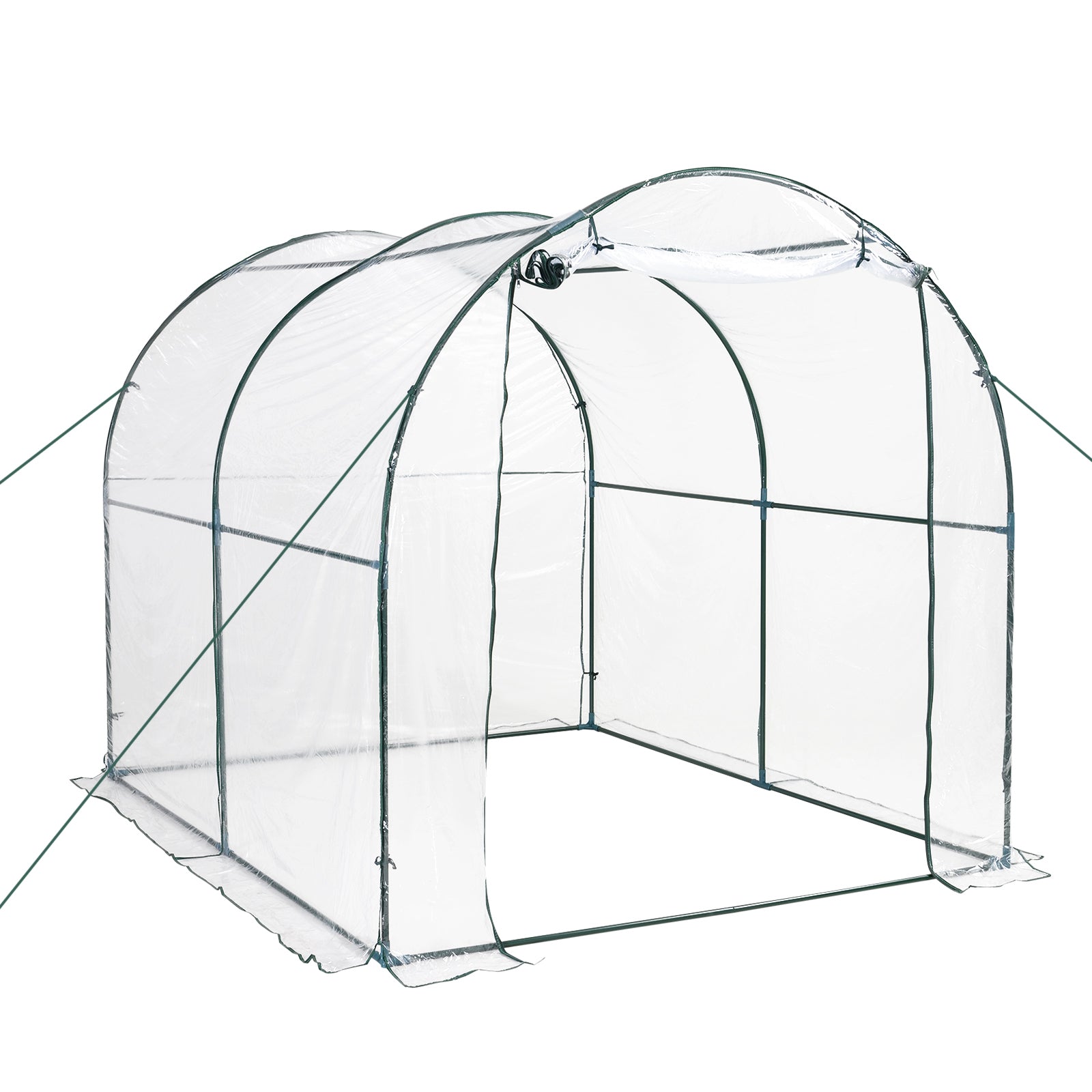 Walk-in Polytunnel Greenhouse with Steel Frame and Roll-up Door - Transparent 2.5 x 2m