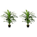 Set of 2 Artificial 110cm Dracaena Trees with Nursery Pots - Green
