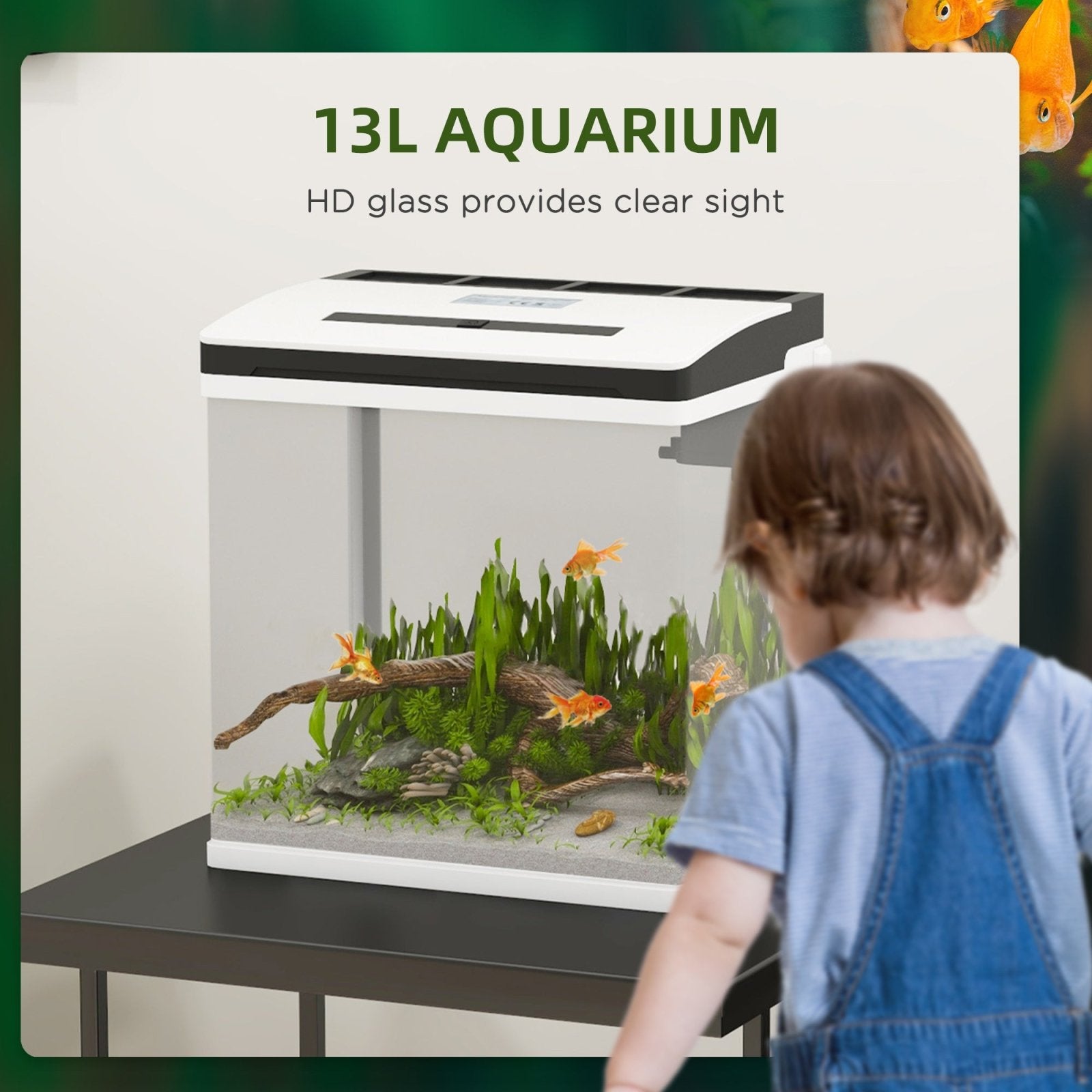 13L Glass Aquarium Fish Tank with Filter, LED Lighting, for Betta, Guppy, Mini Parrot Fish, Shrimp, 29 x 20 x 30.5cm - Bedzy UK modern and affordable home furniture England