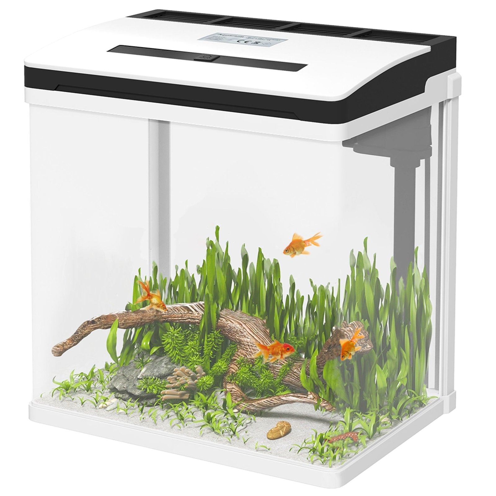 13L Glass Aquarium Fish Tank with Filter, LED Lighting, for Betta, Guppy, Mini Parrot Fish, Shrimp, 29 x 20 x 30.5cm - Bedzy UK modern and affordable home furniture England