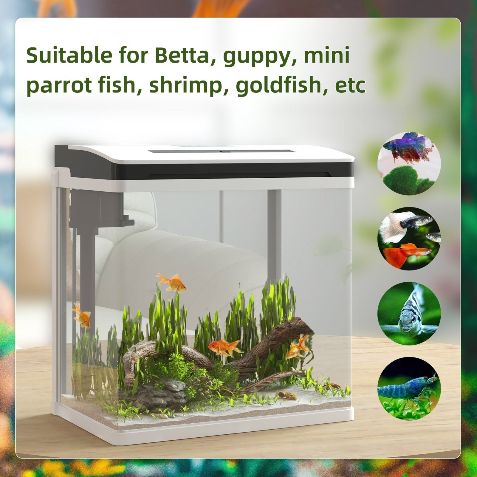 13L Glass Aquarium Fish Tank with Filter, LED Lighting, for Betta, Guppy, Mini Parrot Fish, Shrimp, 29 x 20 x 30.5cm - Bedzy UK modern and affordable home furniture England