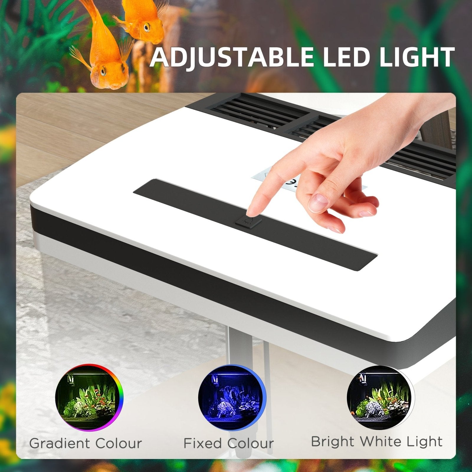 13L Glass Aquarium Fish Tank with Filter, LED Lighting, for Betta, Guppy, Mini Parrot Fish, Shrimp, 29 x 20 x 30.5cm - Bedzy UK modern and affordable home furniture England