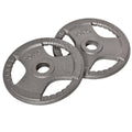 Set of 2 Steel Olympic Weight Plates 10kg Each - Silver Enamel Coated