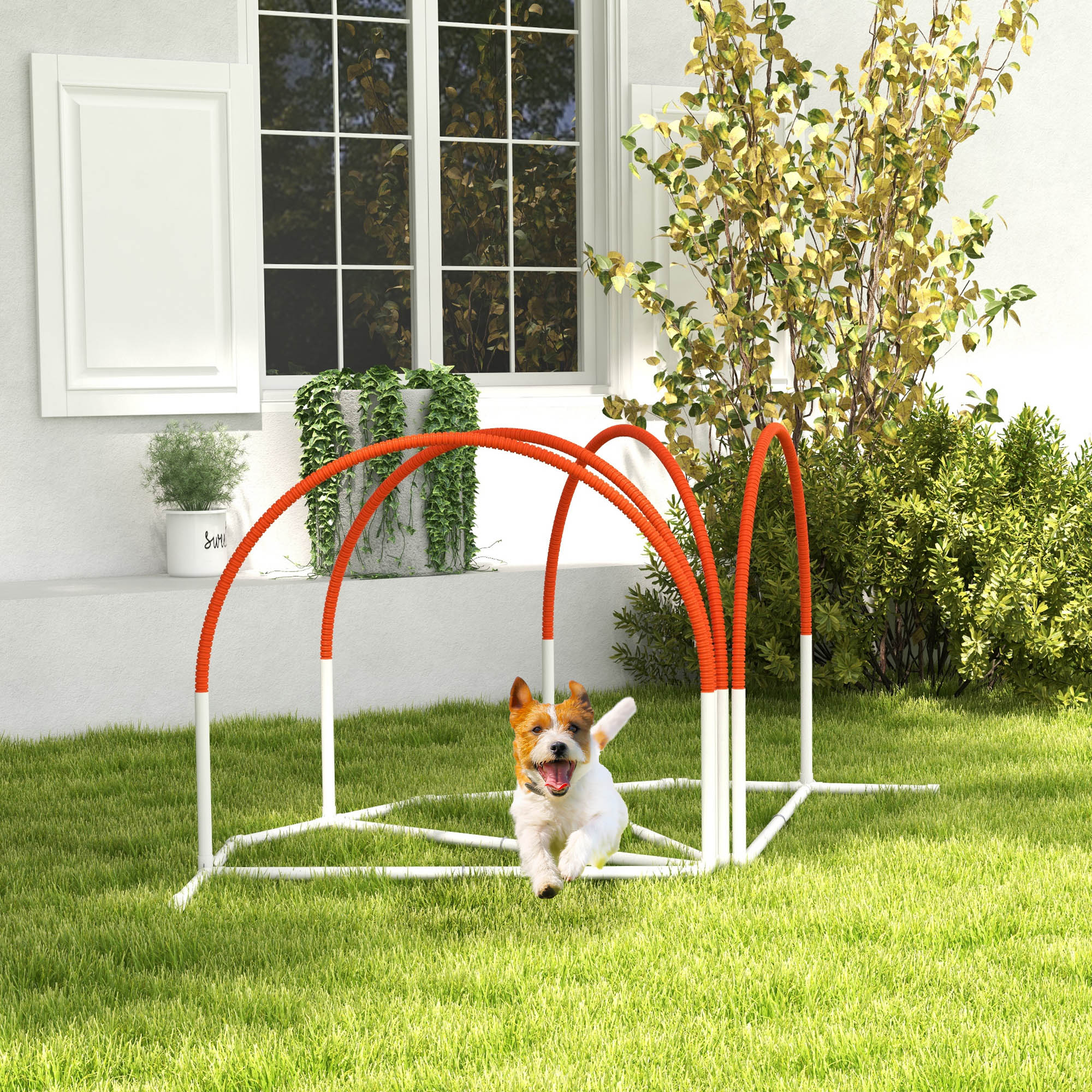 Dog Agility Equipment Set, Dog Agility Training Equipment for Dogs w/ Oxford Carry Bag, 4 PCS Weave Poles Orange