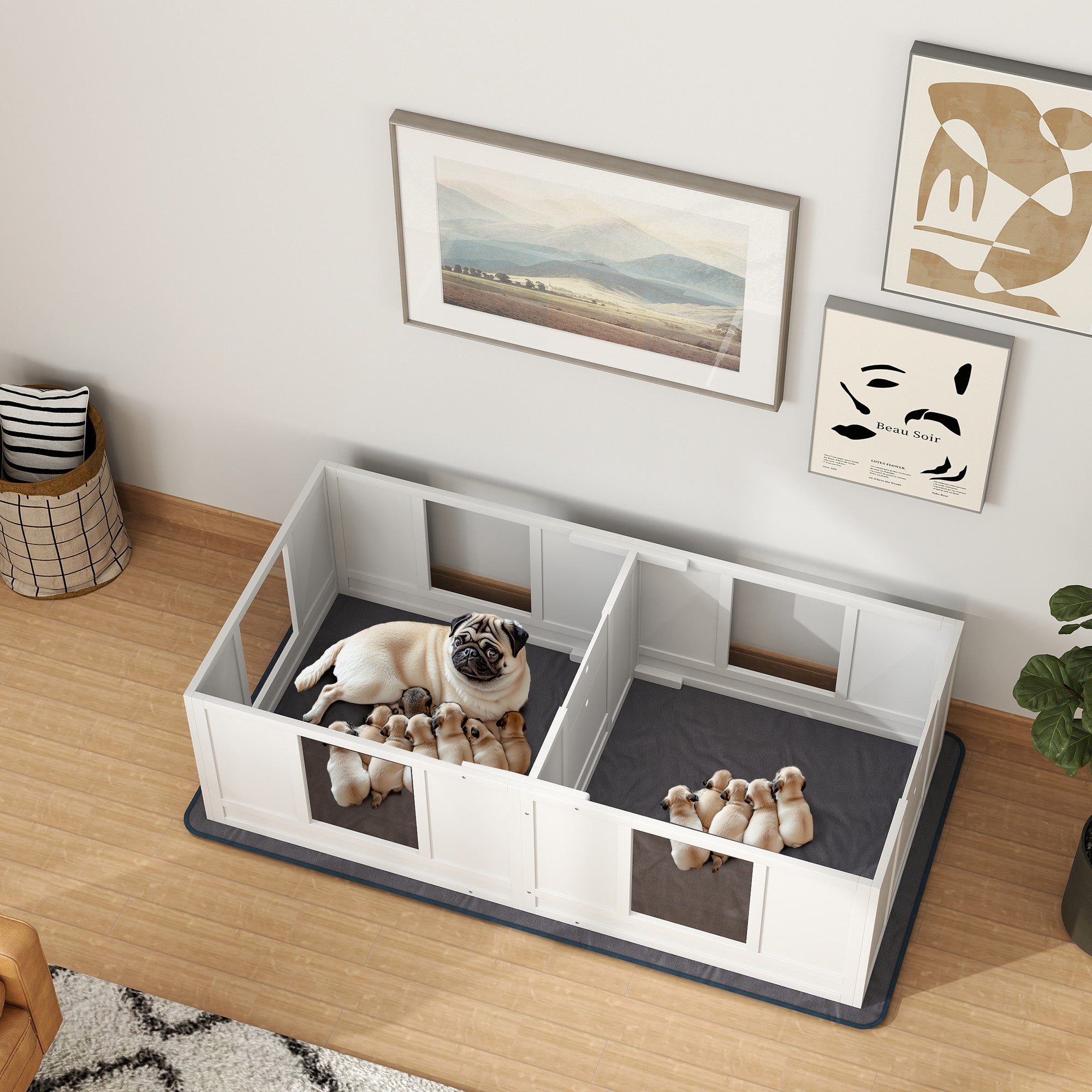Two Room Design Whelping Box for Dogs with Whelping Pad, Clear Panels, Adjustable Entrance, for Small Dogs, 164 x 80cm