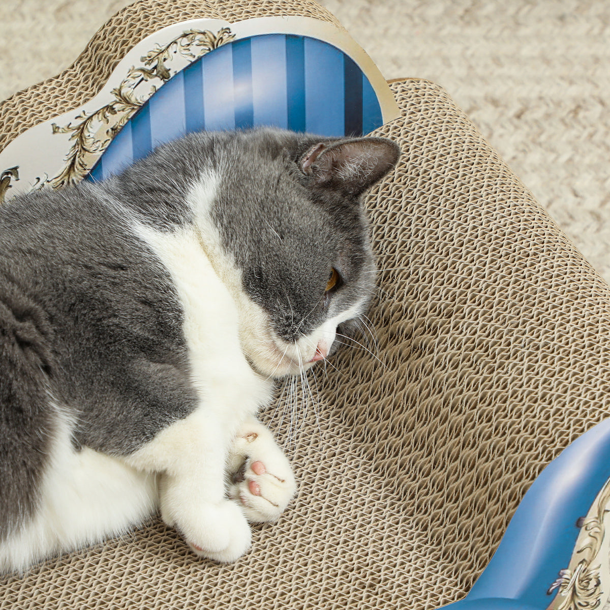 2-in-1 Cat Scratching Board with Catnip for Indoor Cats 26.5x57x26.5cm - Blue