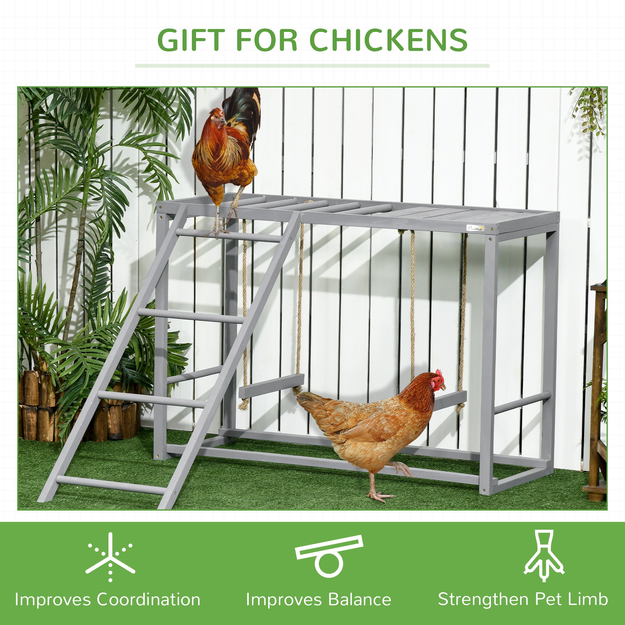 Walk In Chicken Run with Chicken Activity Shelf and Cover, 2.8 x 5.7 x 2m