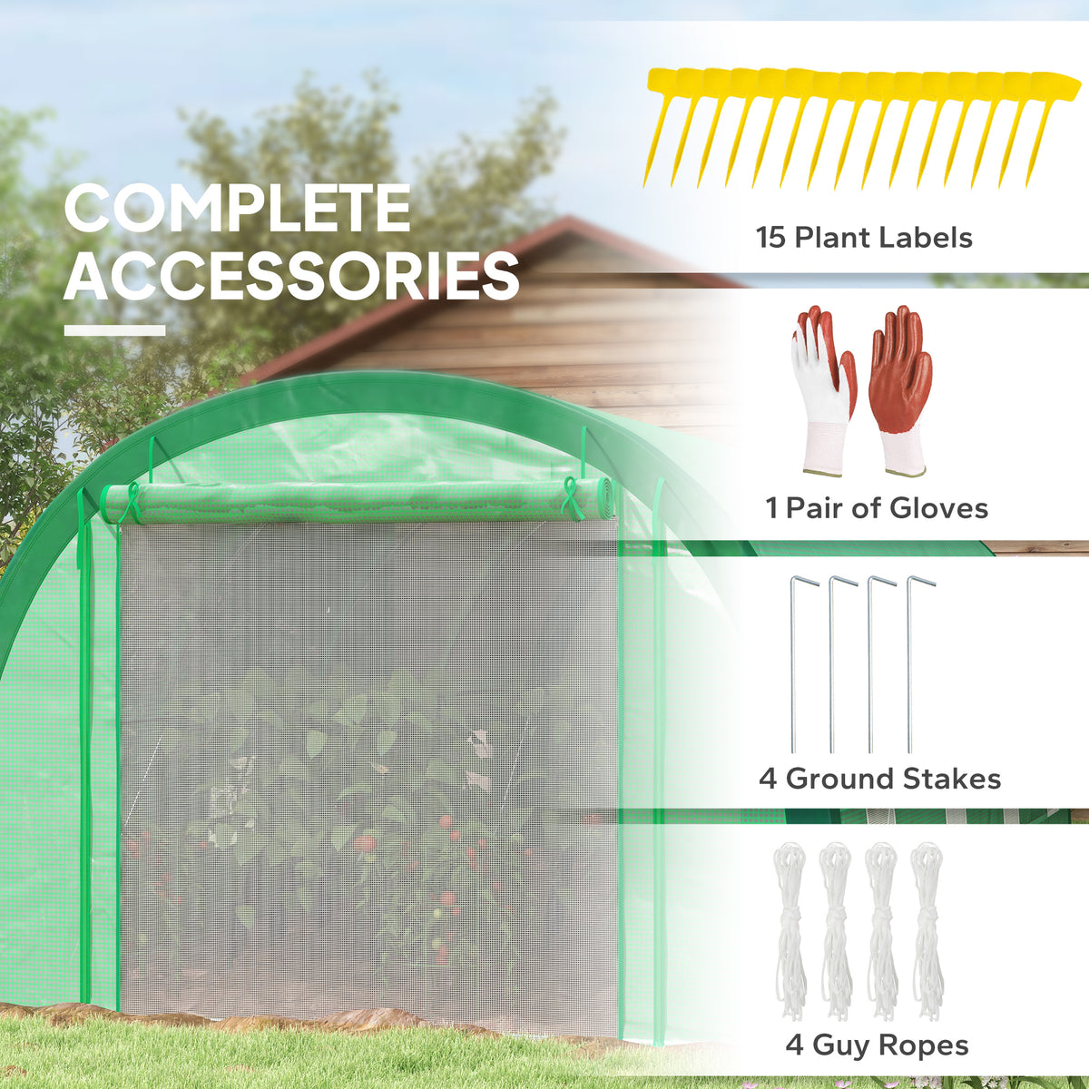 6 x 3(m) Polytunnel Greenhouse with Upgraded Structure, Mesh Door and Windows, 15 Plant Labels, Green