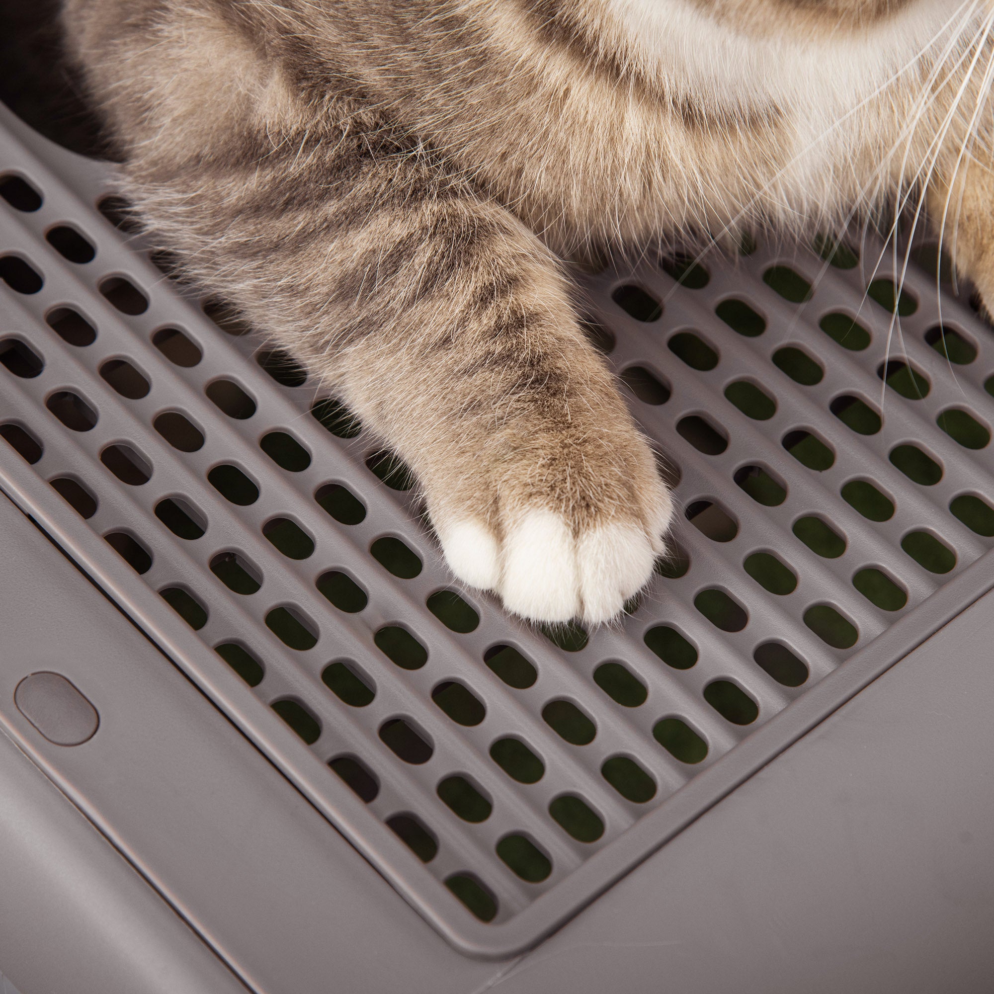 Cat Litter Box Portable Pet Toilet Fully Enclosed Kitten Pan with Scoop Purple