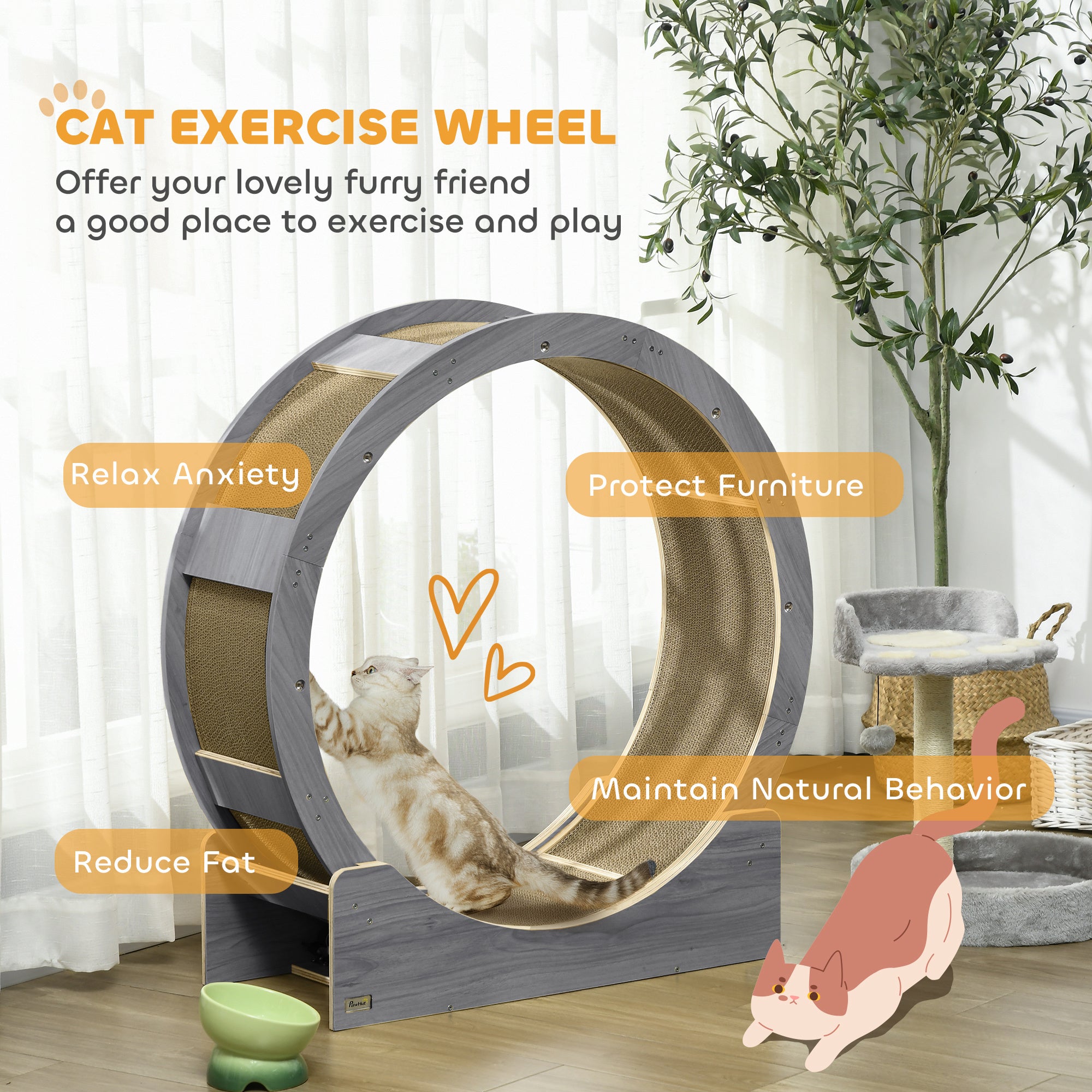 Cat Wheel with Brake, Scratching Pads - Grey
