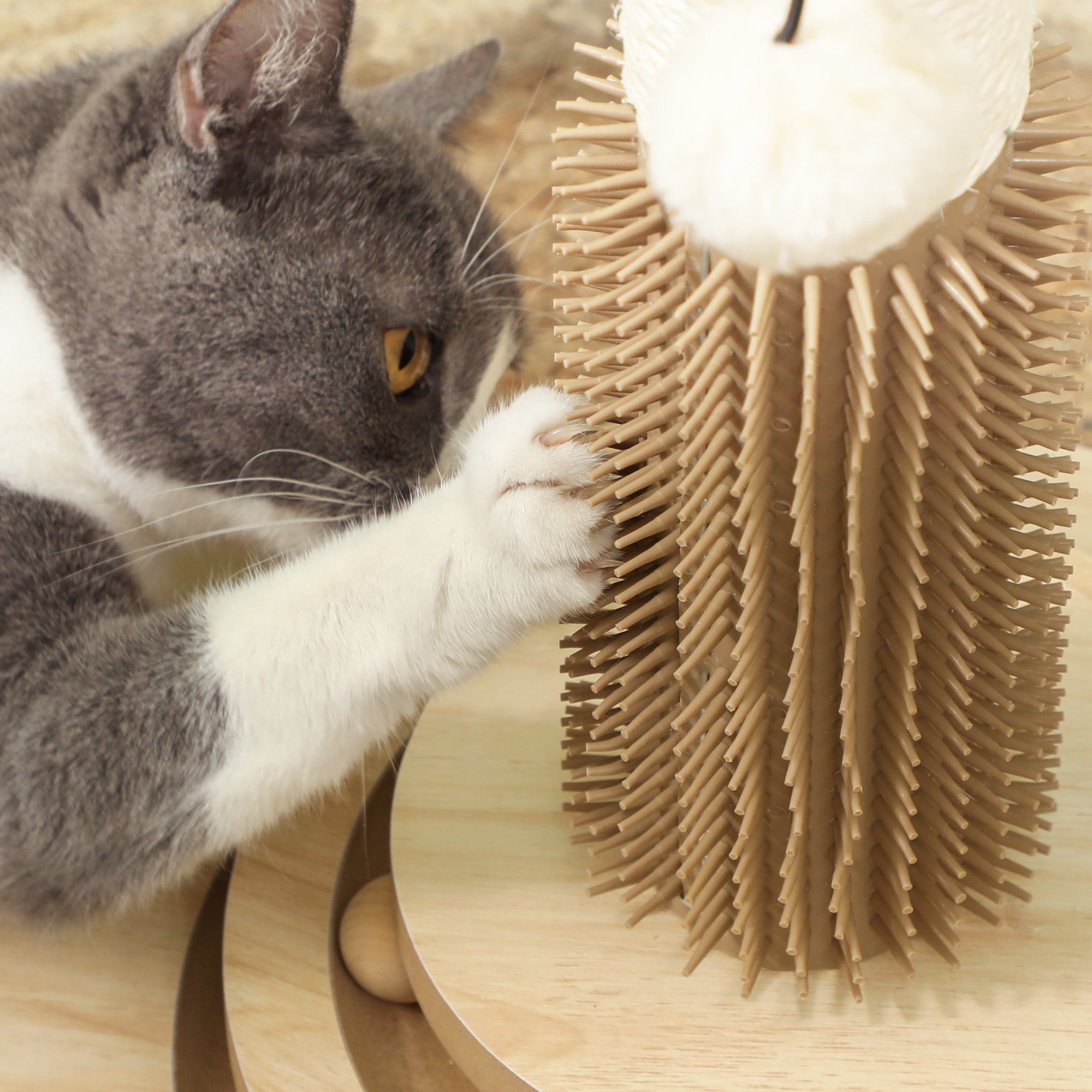 49cm 5 in 1 Cat Scratching Post with Sisal Post, Track Ball, Self Grooming Brush, Hanging Toy Ball, Feather, Oak Tone