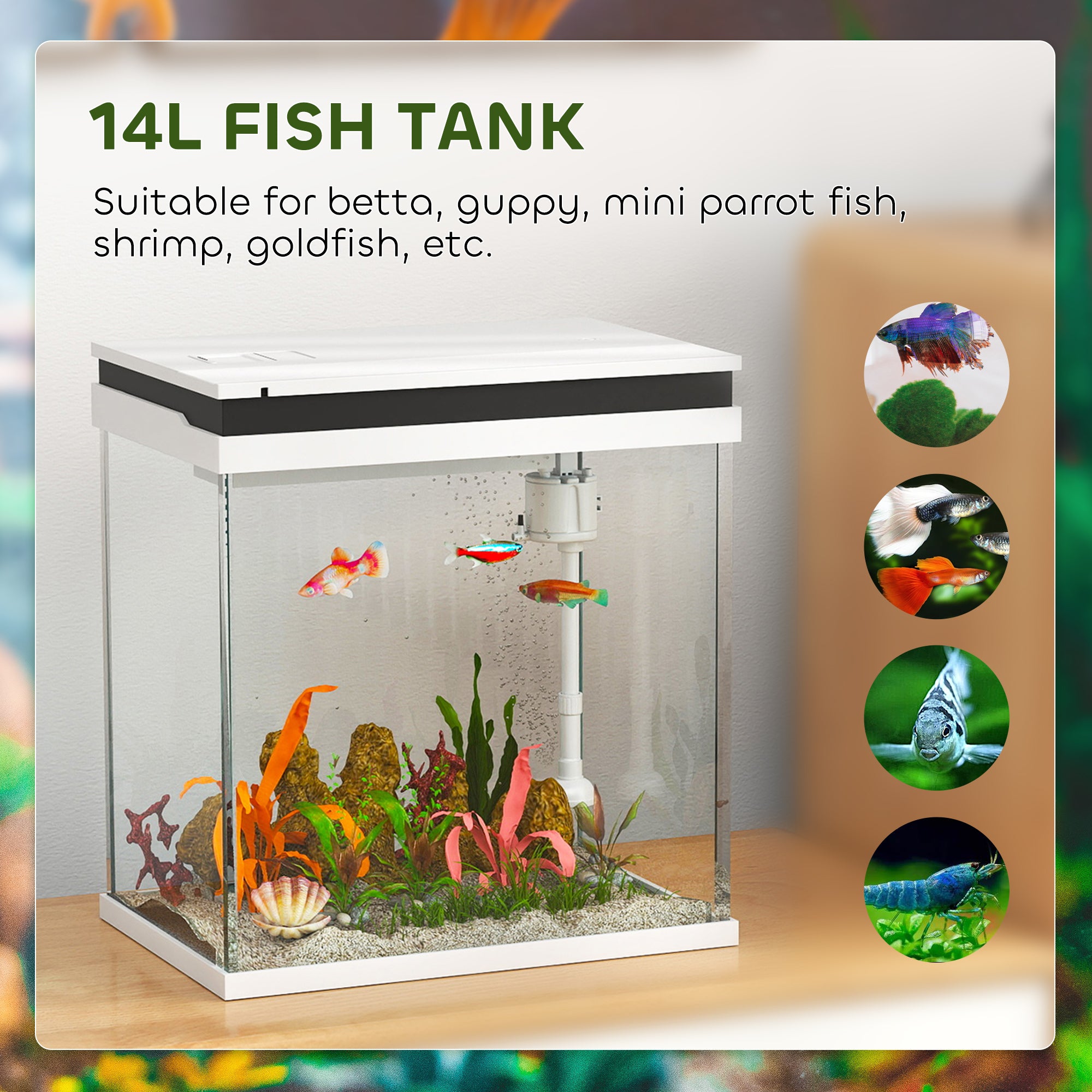 14L Glass Fish Tank with Filter System, LED Lights, Water Pump, White