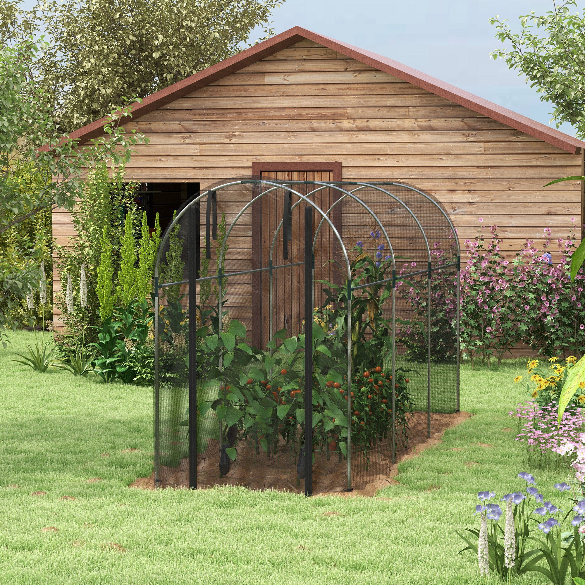 1 Piece Galvanised Steel Fruit Cage with Zipped Door - Black