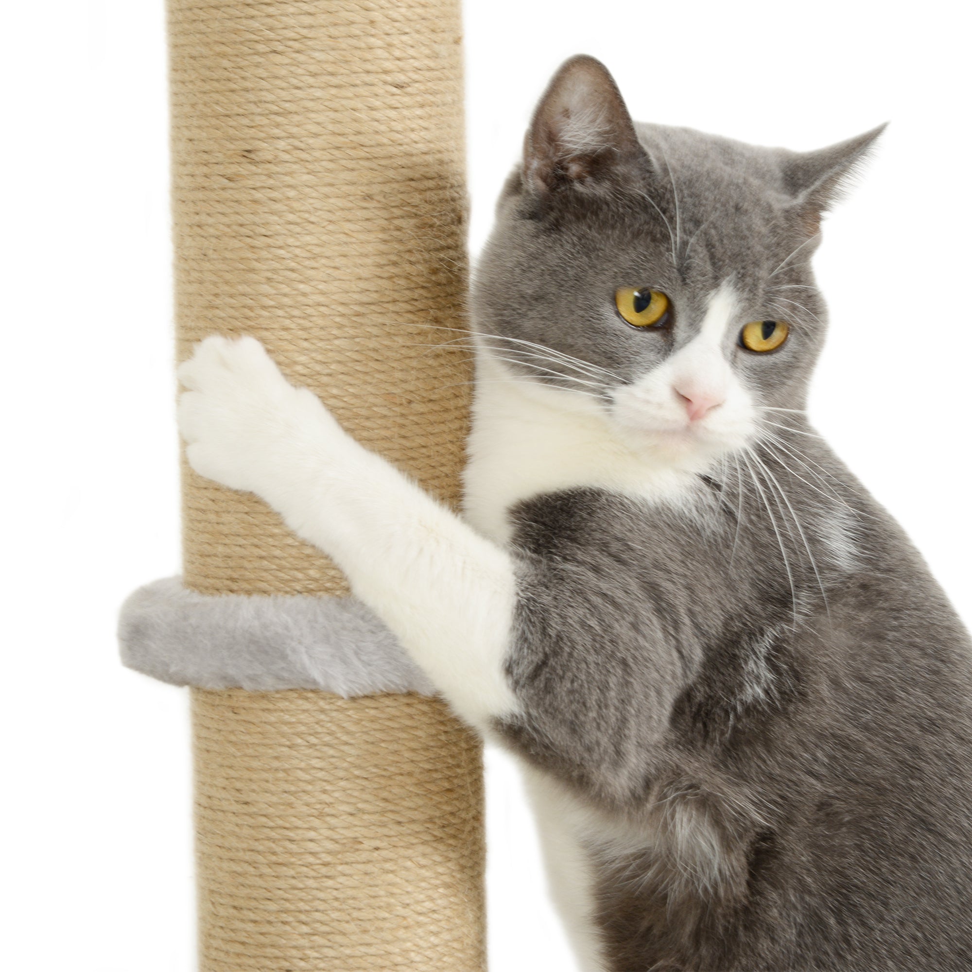 4 Piece Cat Shelves w/ Scratching Post, Steps, Jumping Platform, Ladder, Toy Balls, for Indoor Cats, Light Grey