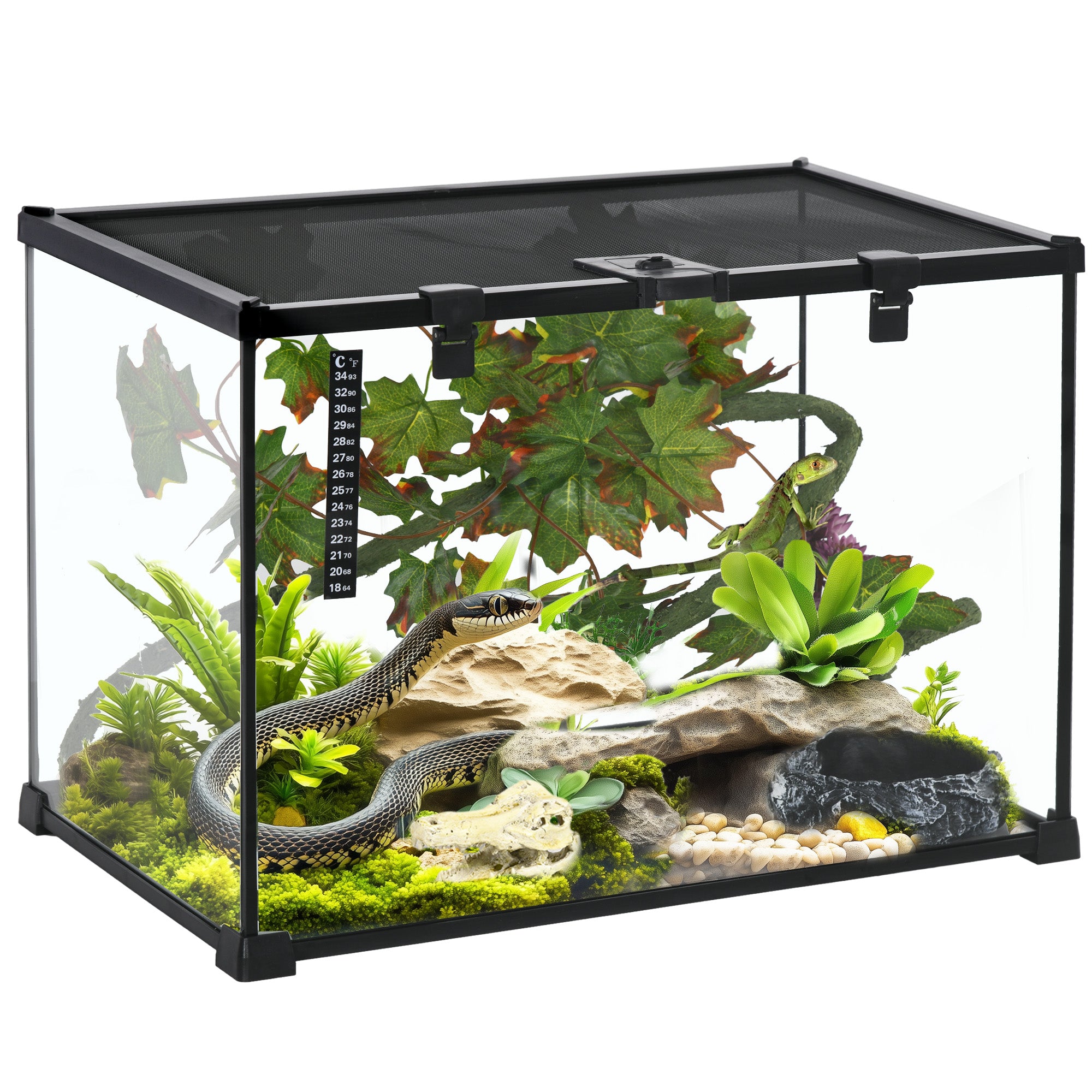 Glass Reptile Terrarium with Decor Kit, Breeding Tank with Thermometer for Small Animals, 50 x 30 x 35cm, Heated - Black