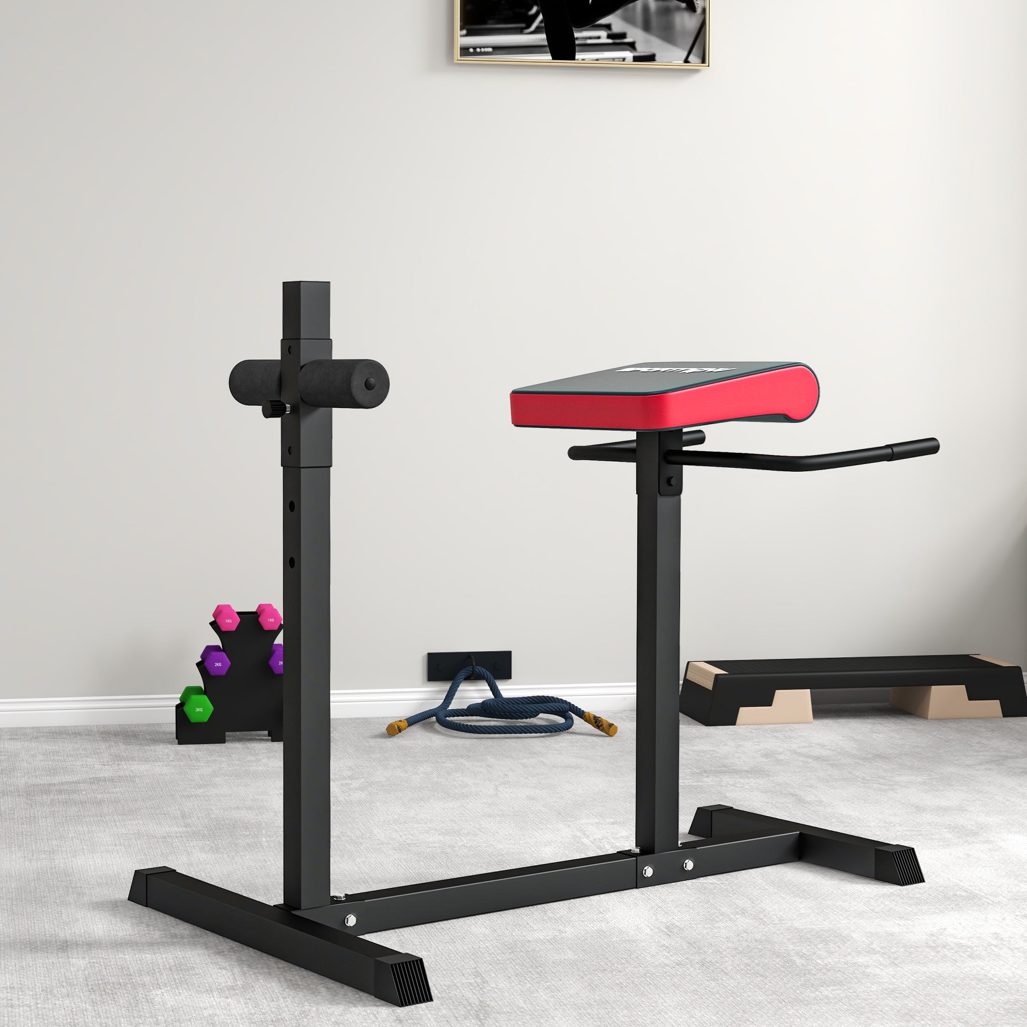 Back Extension Roman Chair, Hyperextension Bench with Adjustable Leg Roller for Back, Abdominal and Gluteal Training