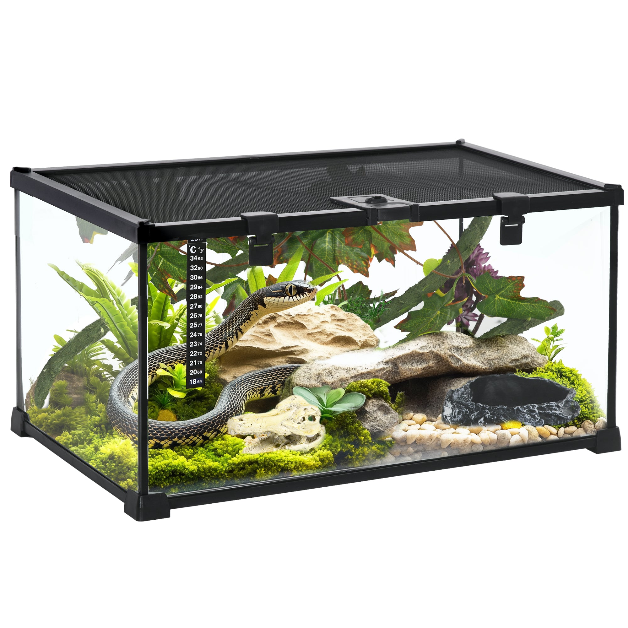 Glass Reptile Terrarium with Decor Kit, Breeding Tank with Thermometer for Small Animals, 50 x 30 x 25cm, Heated - Black