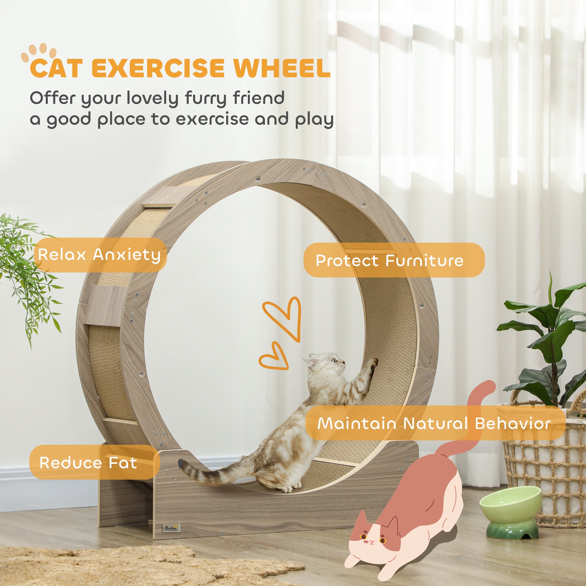 Cat Wheel with Brake, Scratching Pads - Walnut Brown
