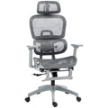 Multi-Adjustable Ergonomic Mesh Office Chair with Reclining and Footrest - Grey