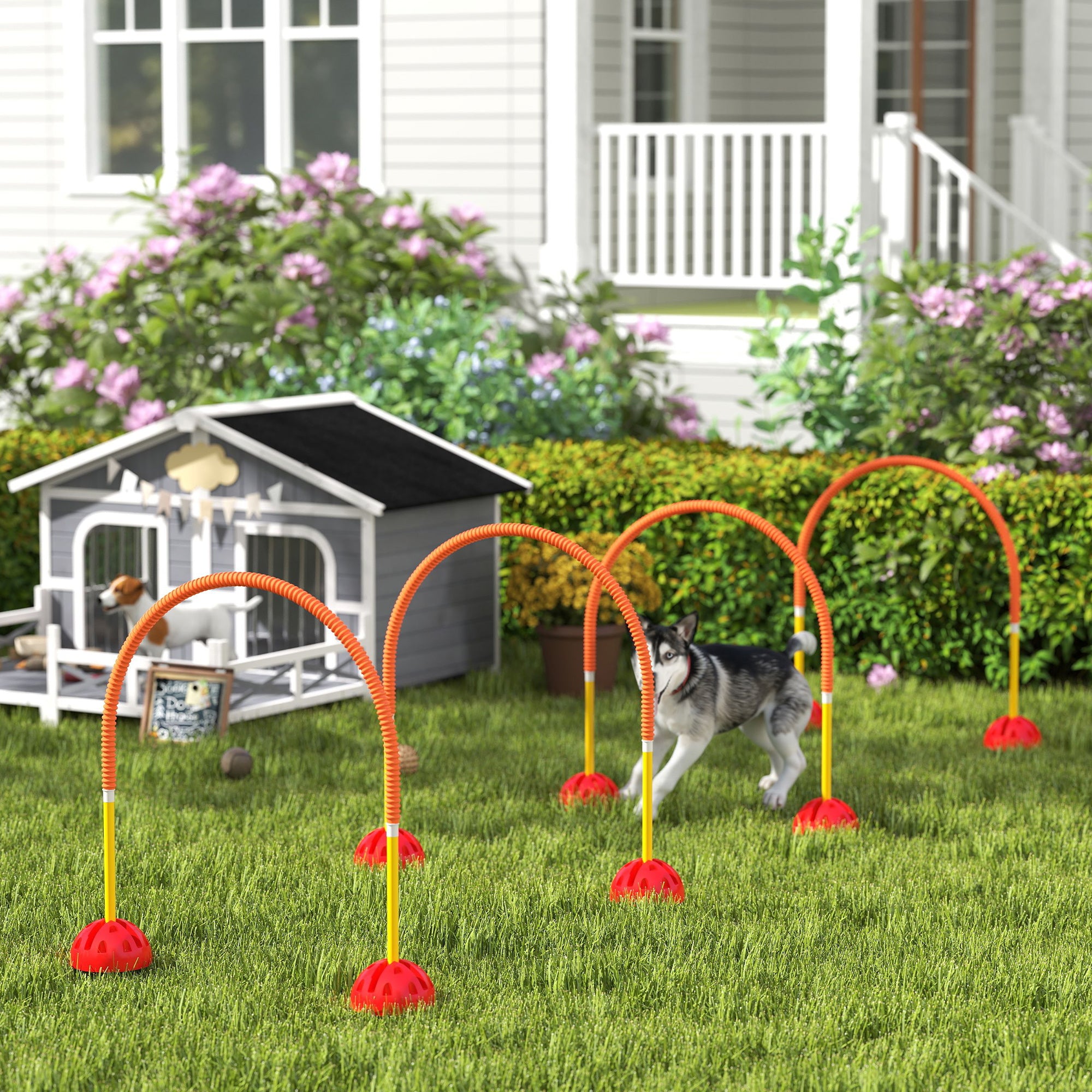 4 Piece Dog Agility Training Equipment with 4 Adjustable Width Doors, Carry Bag, for Garden, Orange