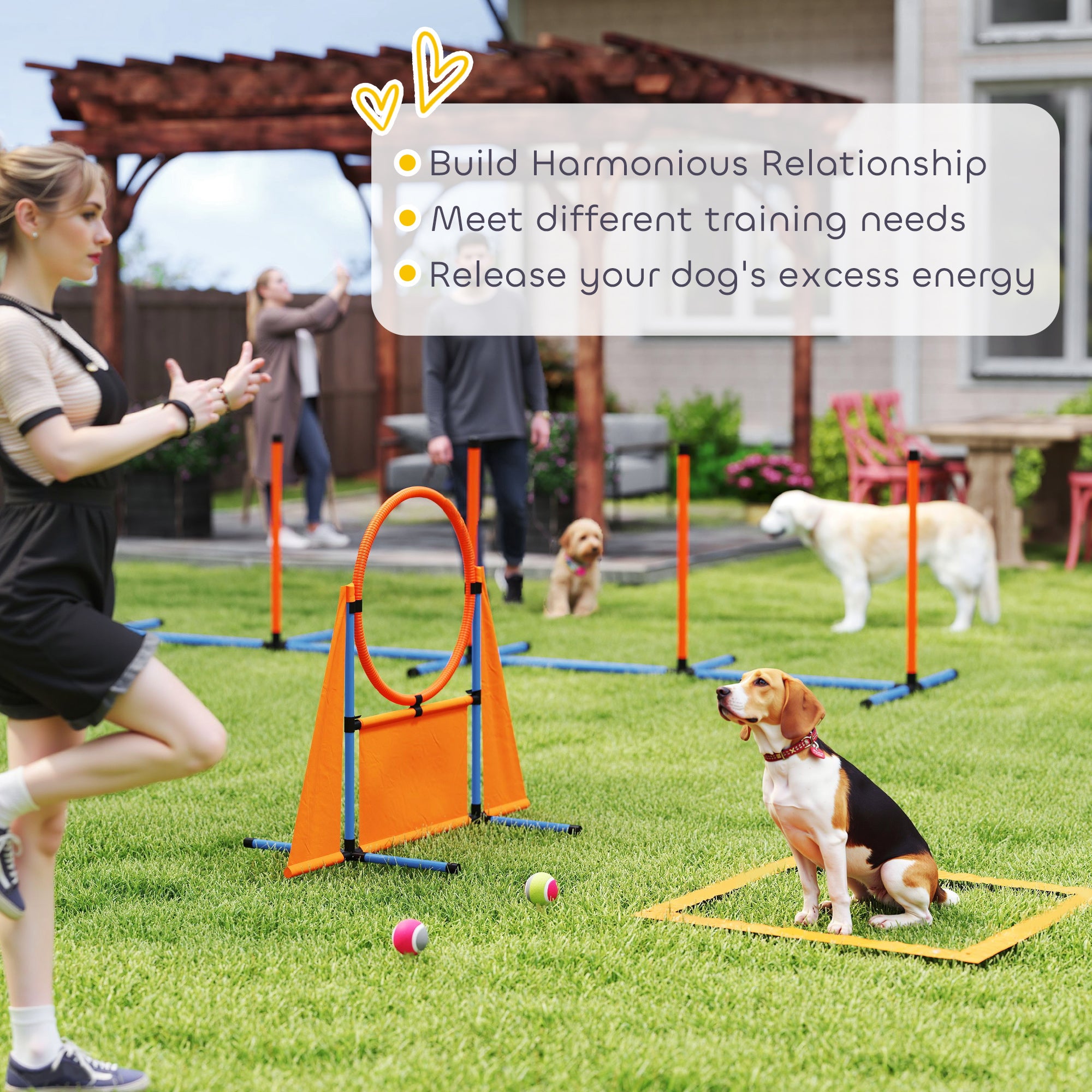 6-Piece Dog Agility Training Set with Weave Poles, Jump Ring, Hurdle, Pause Box & Carry Bag - Orange