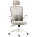 Multi-Adjustable Office Chair with Lumbar Support, Headrest & Mesh Back - Grey