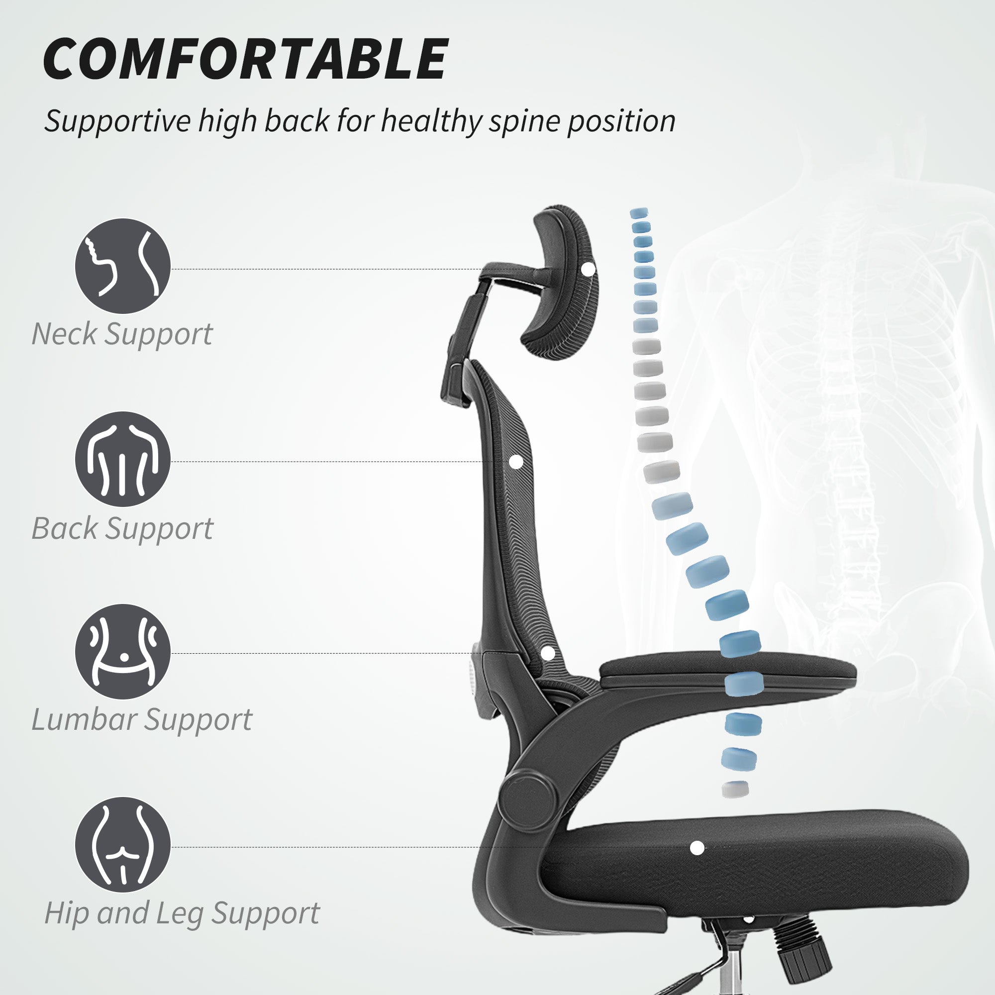 Mesh Back Office Chair, with Lumbar Support - Black