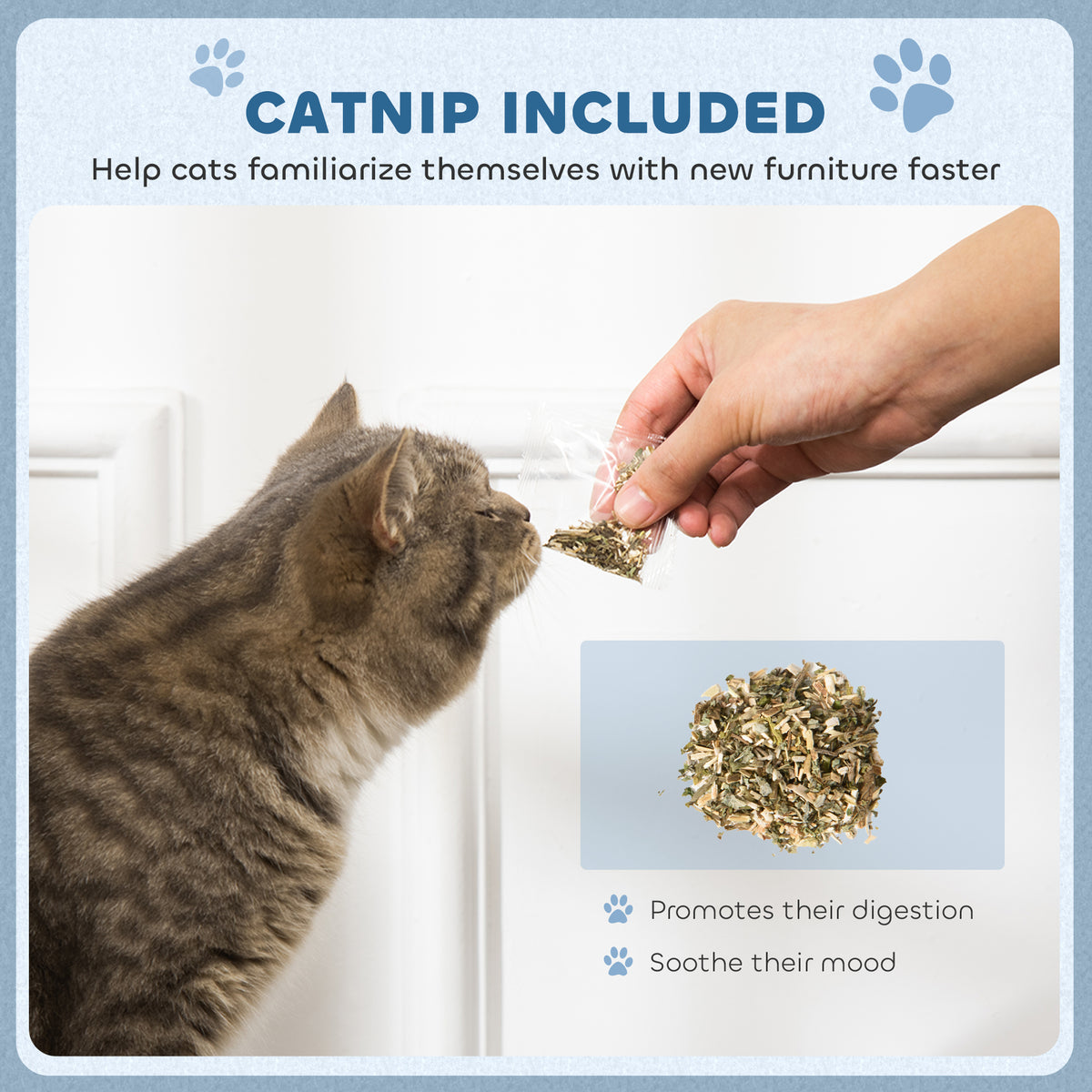 2-in-1 Cat Scratching Board with Catnip for Indoor Cats 26.5x57x26.5cm - Blue