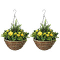 Set of Two Hanging Lisianthus Flower Pots with Chains - Yellow/Green
