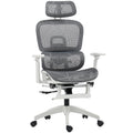 Multi-Adjustable Mesh Office Chair - Grey and White