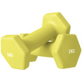 1kg Hexagonal Dumbbell Set 2-Pack with Non-Slip Grip for Home Gym - Yellow