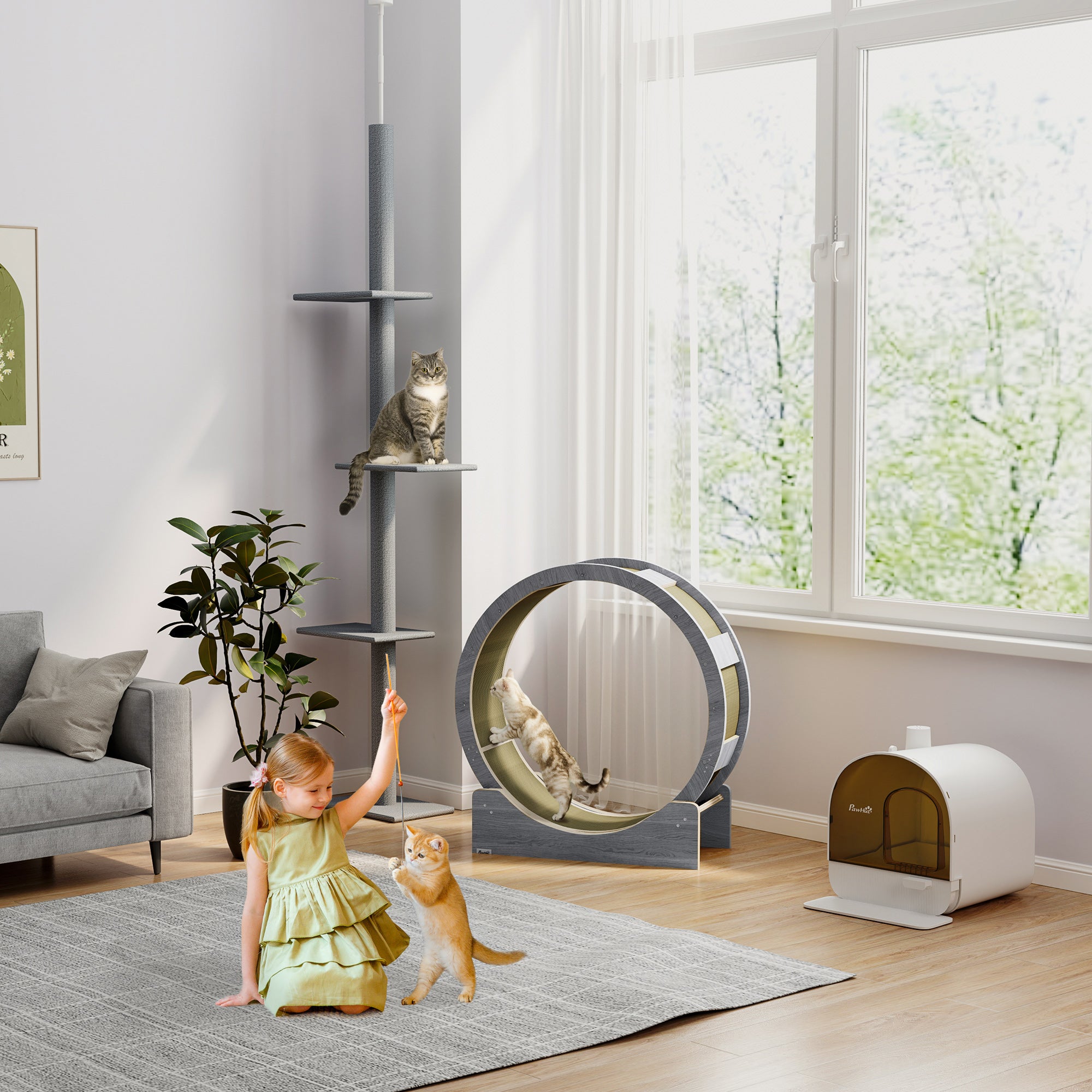 Cat Wheel with Brake, Scratching Pads - Grey