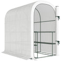 Walk-in Greenhouse with Shelves, Small Greenhouse with PE Cover and Roll-up Door, 123 x 187 x 189 cm, White
