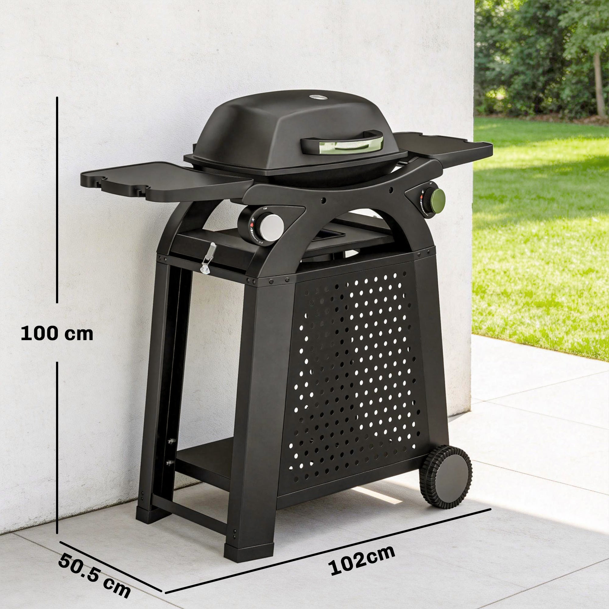 2 Burner Gas Grill with 2 Side Tables, 3.8 KW Barbecue Grill with Cast Iron Grates, 2-in-1 Tabletop BBQ with Wheels