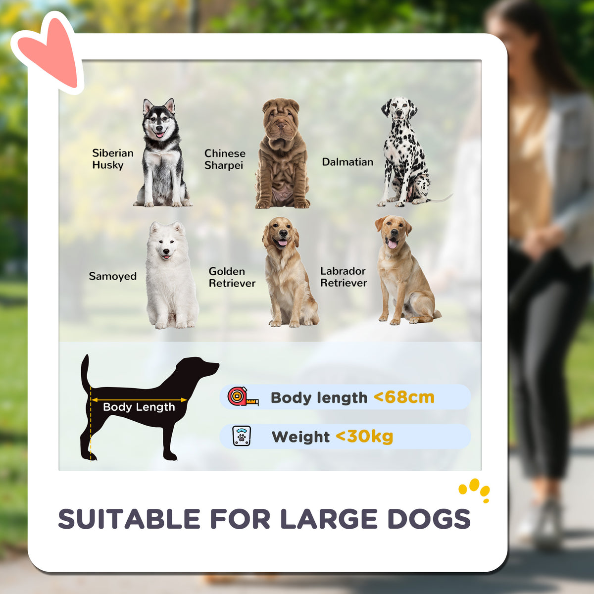 Easy Folding Large Dog Pet Stroller with Shock Absorb Frame, Safety Leashes & Brakes - Dark Green