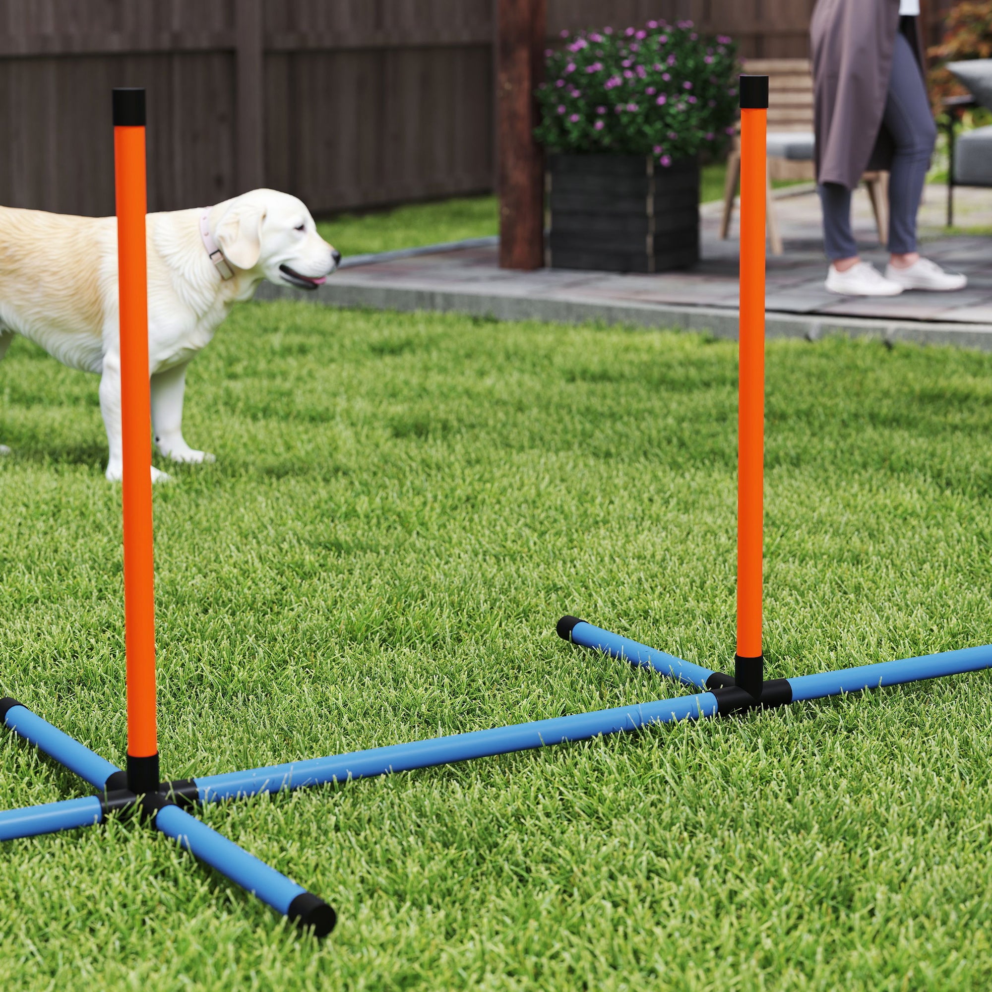 7-Piece Dog Agility Training Set with Weave Poles, Jump Ring, Hurdle, Pause Box & Carry Bag - Orange