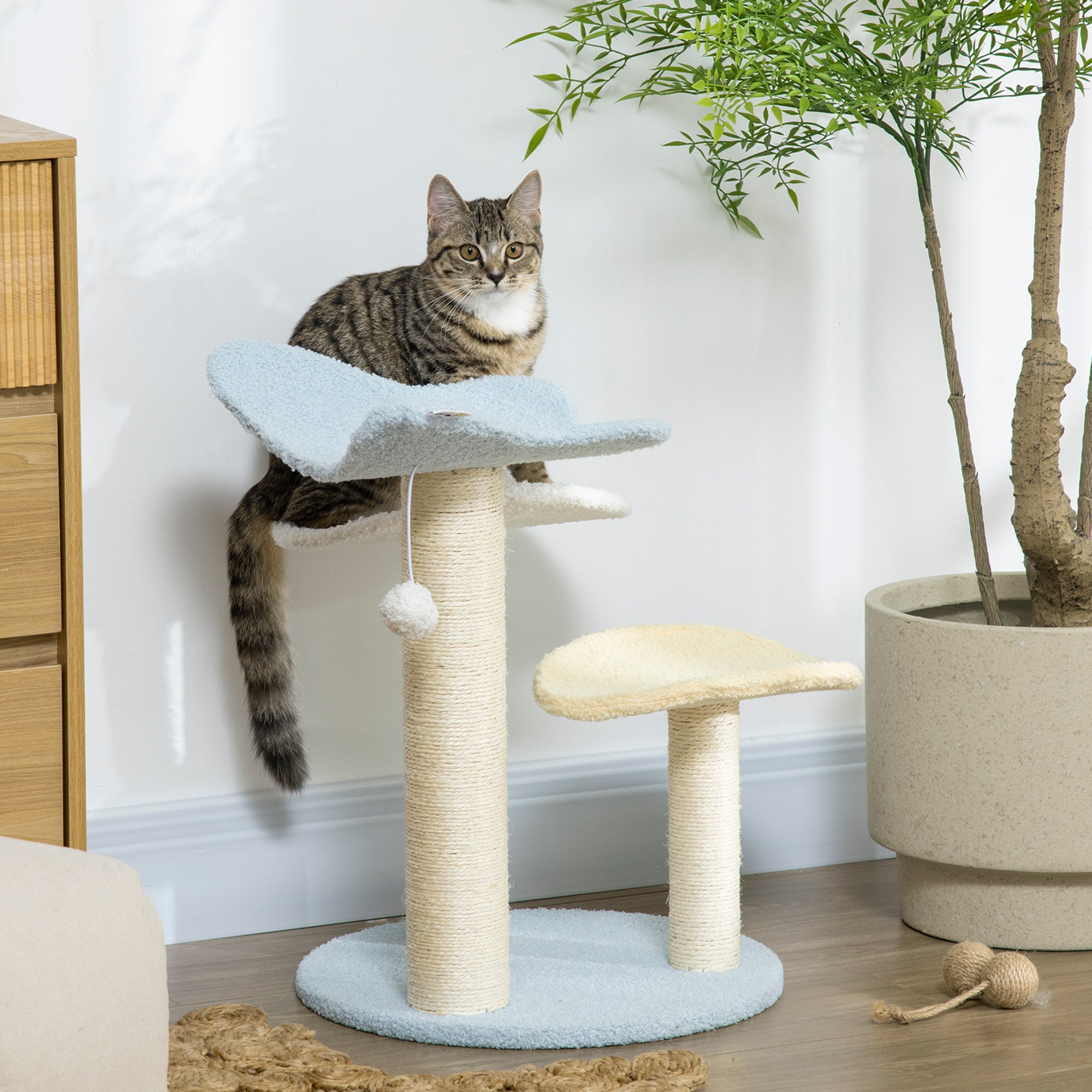 Indoor Cat Tree, with Sisal Scratching Post, Toy Ball - Blue and Cream