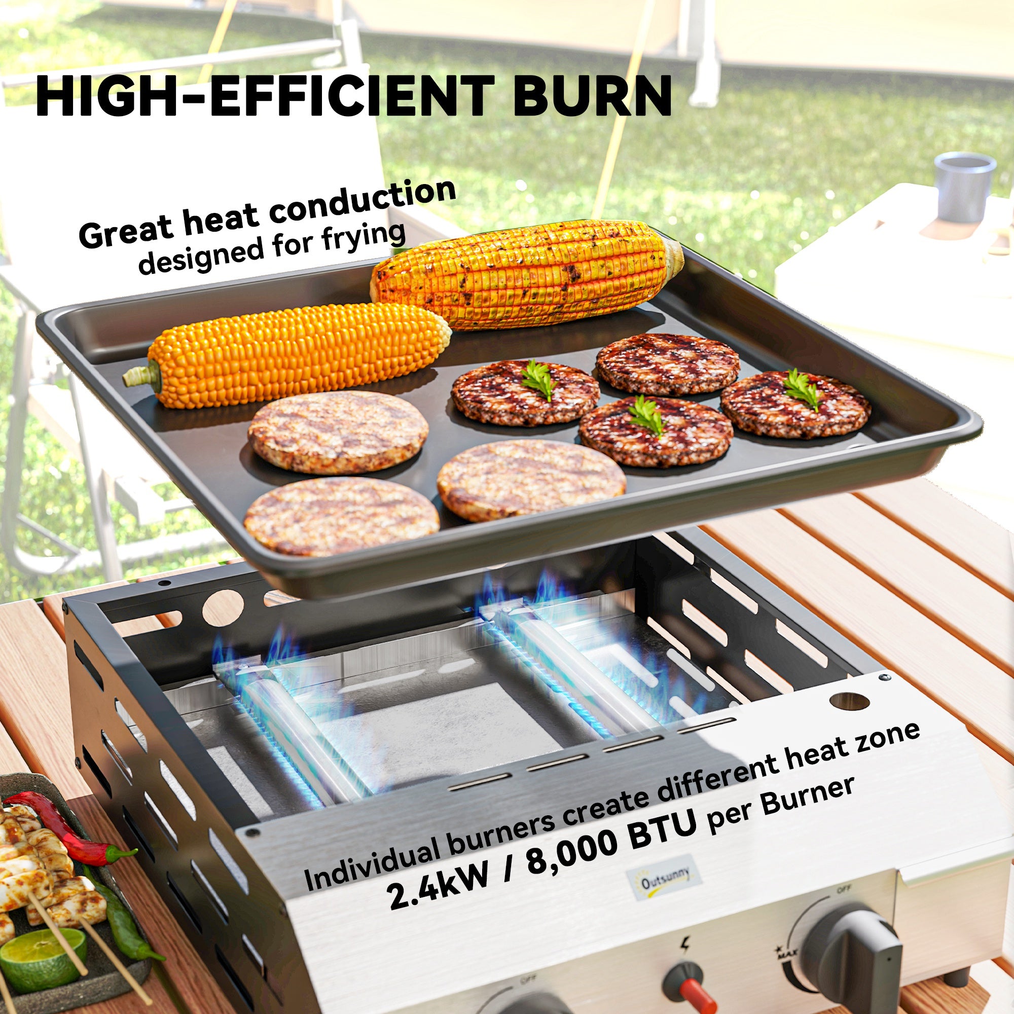 Two Burner Portable Gas Grill with Adjustable Burners and Grease Tray - Black