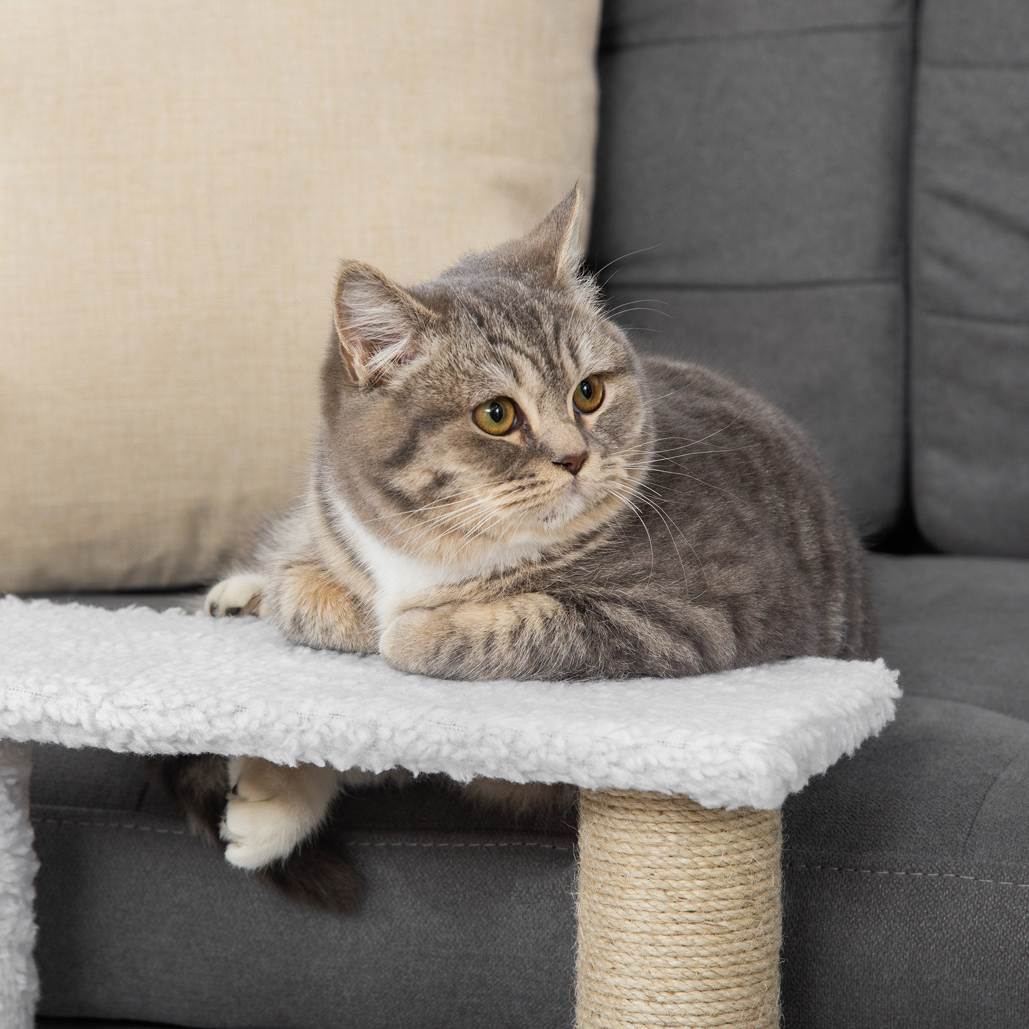 Pet Stair with 3-step Climb Ladder, Scratching Posts, Platforms, Toy Ball, for Indoor Elderly Cats Kittens, White