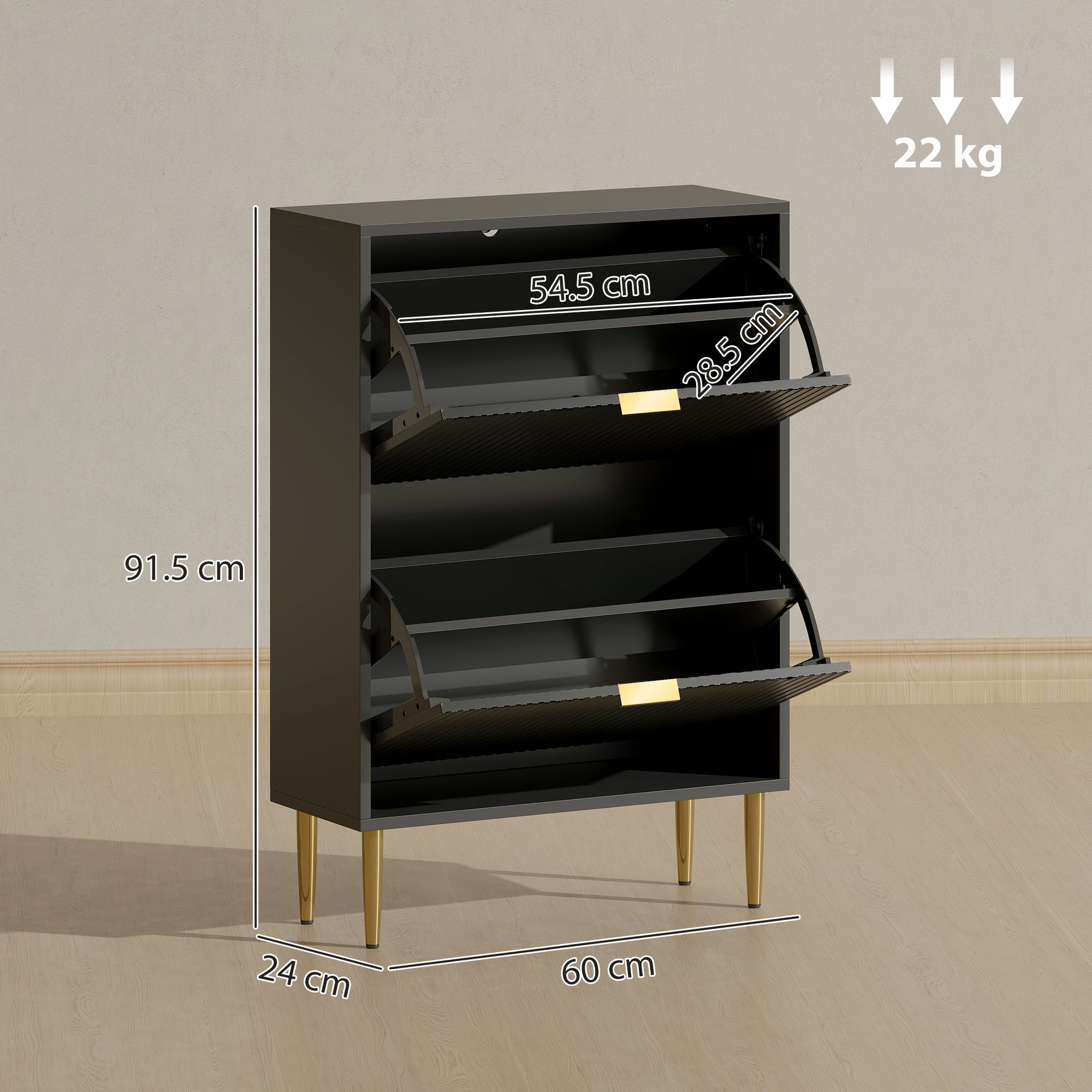 Elegant Two-Drawer Shoe Cabinet - Black