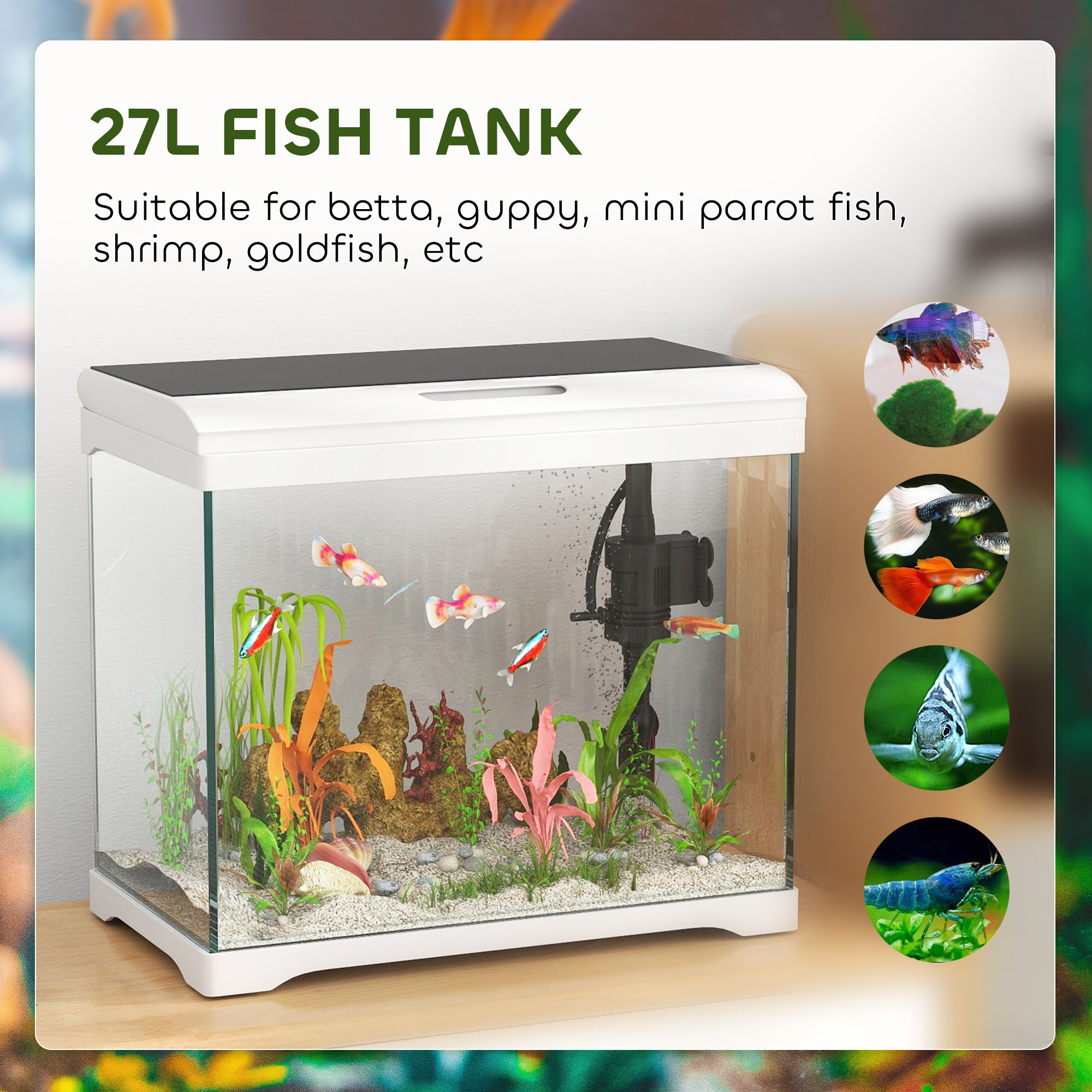27L Glass Fish Tank with Filter System, LED Light, Water Pump, for Betta, Goldfish, Shrimps, White